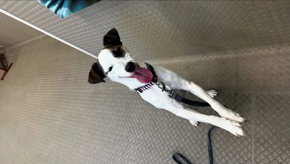 昨日は専門学校day🏫