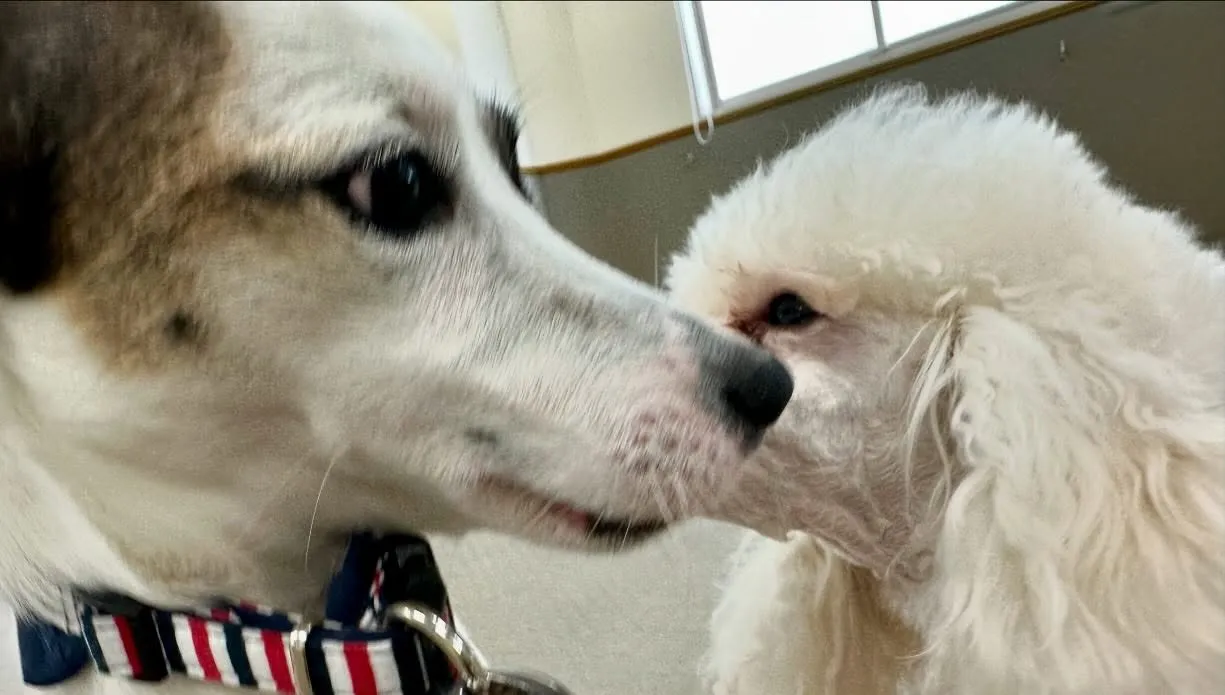 昨日は専門学校day🏫