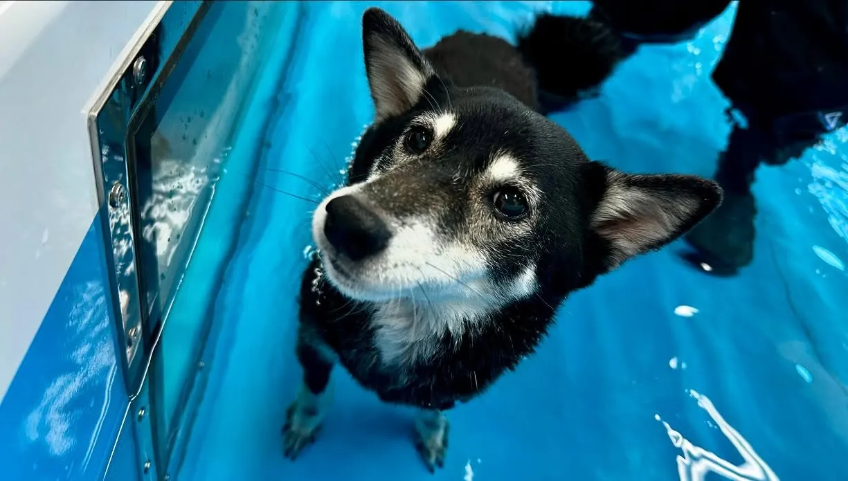昨日は専門学校day🏫