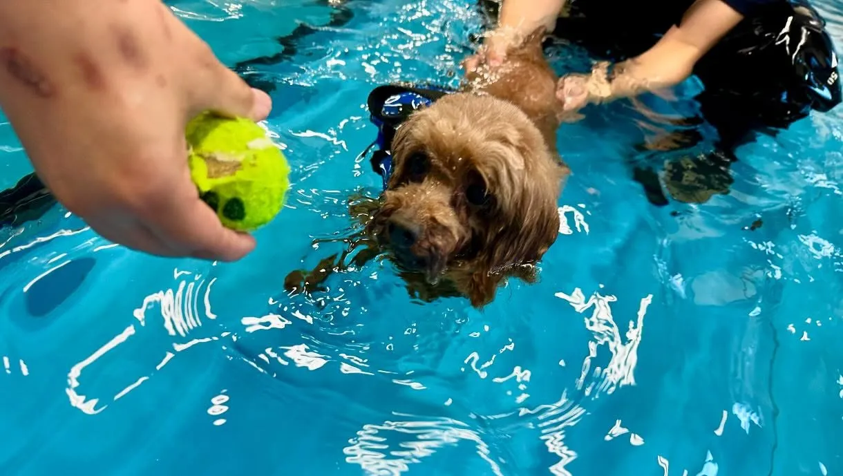 昨日は専門学校day🏫