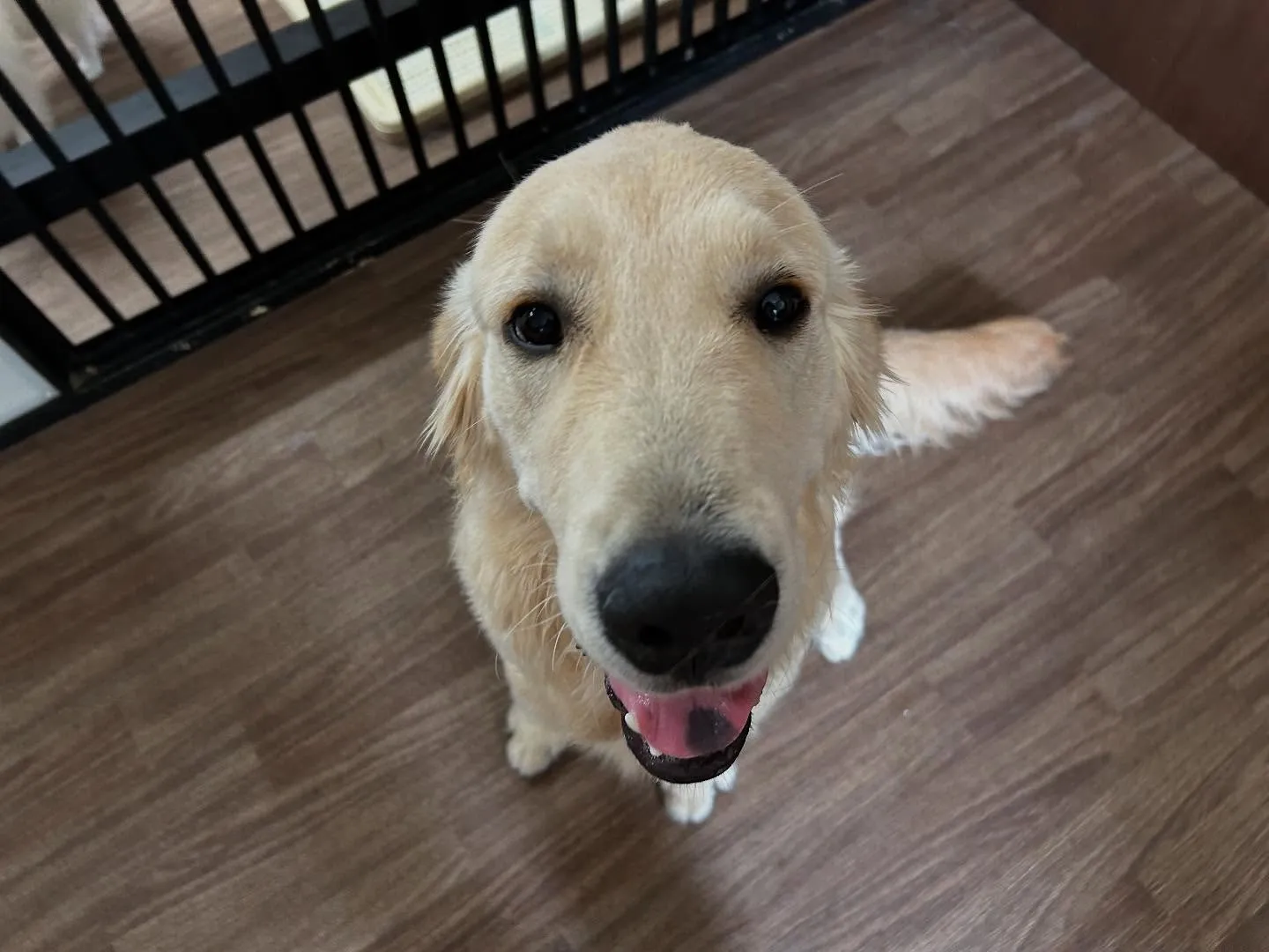 【抽選おでかけイベントの抽選対象商品販売のお知らせ】