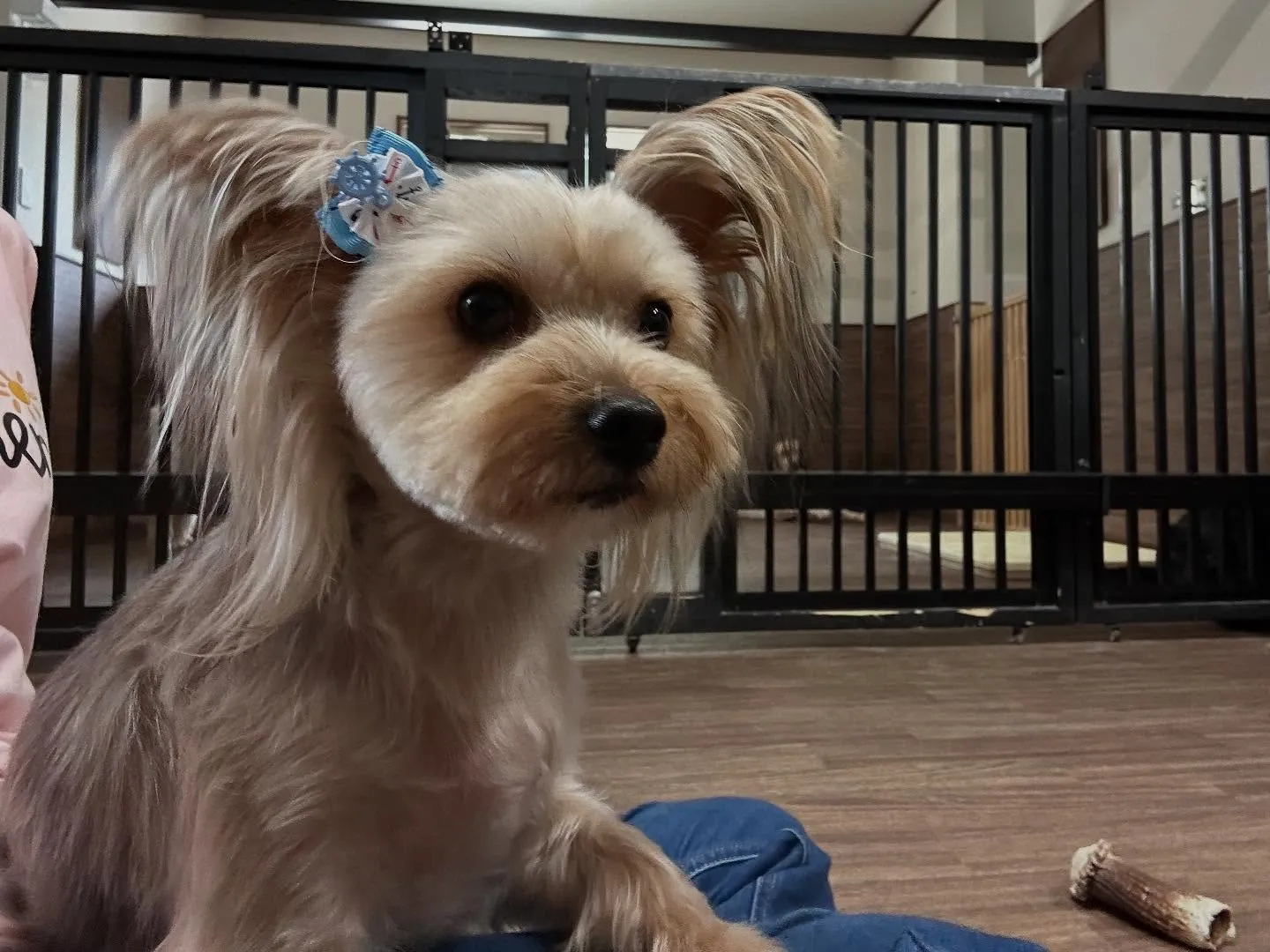 【抽選おでかけイベントの抽選対象商品販売のお知らせ】