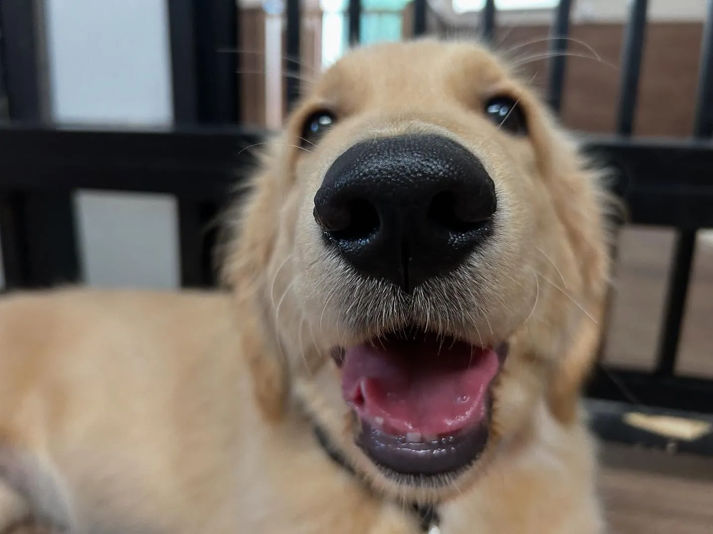 【抽選おでかけイベントの抽選対象商品販売のお知らせ】