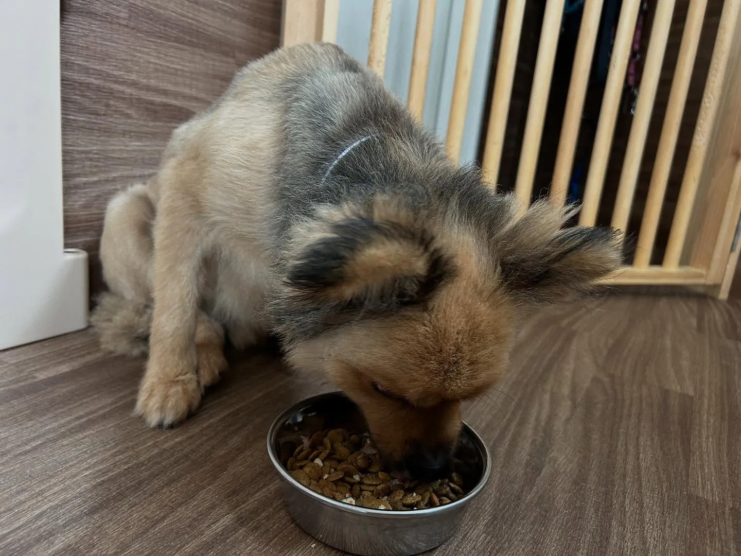 【抽選おでかけイベントの抽選対象商品販売のお知らせ】