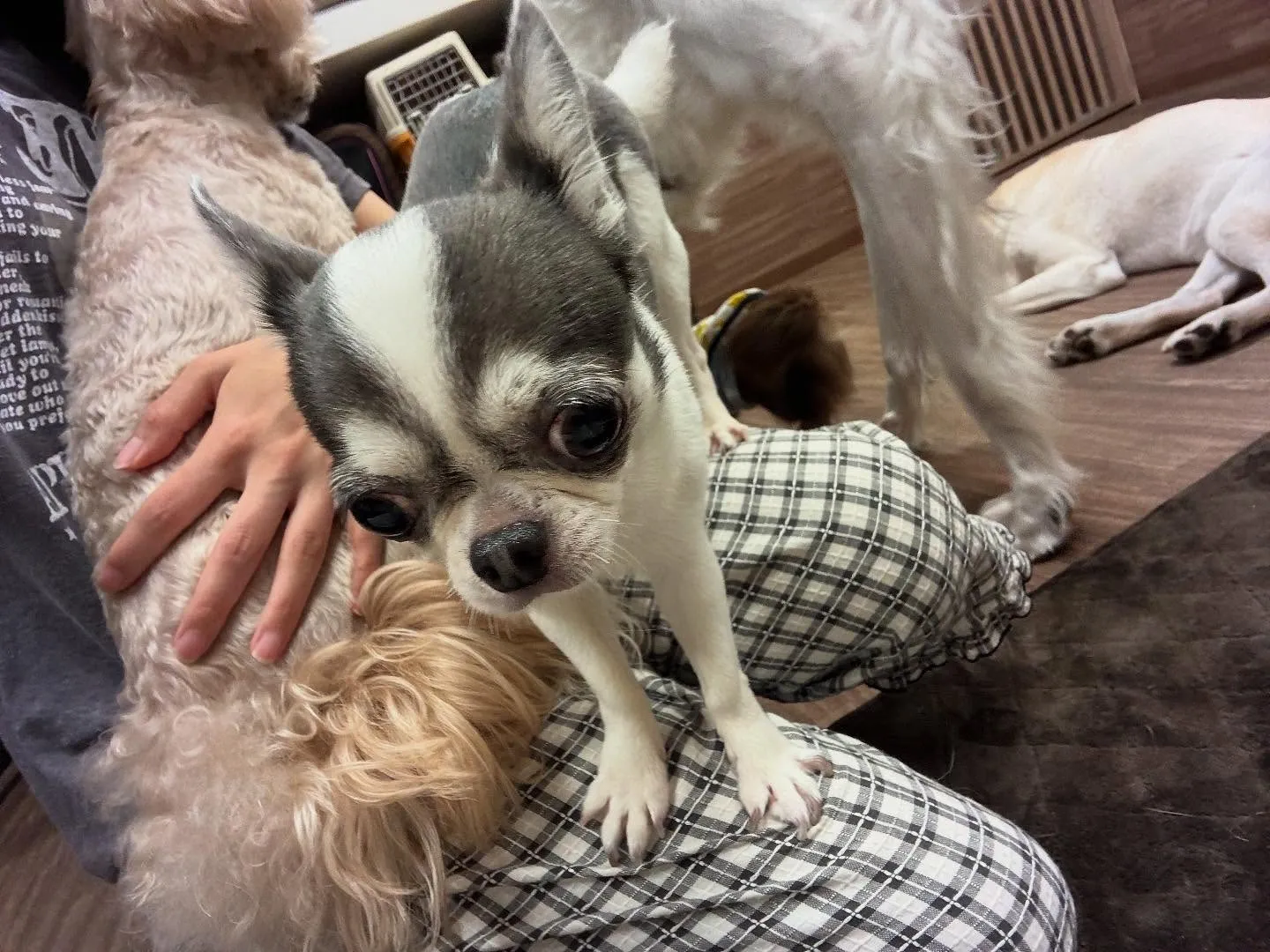 【抽選おでかけイベントの抽選対象商品販売のお知らせ】