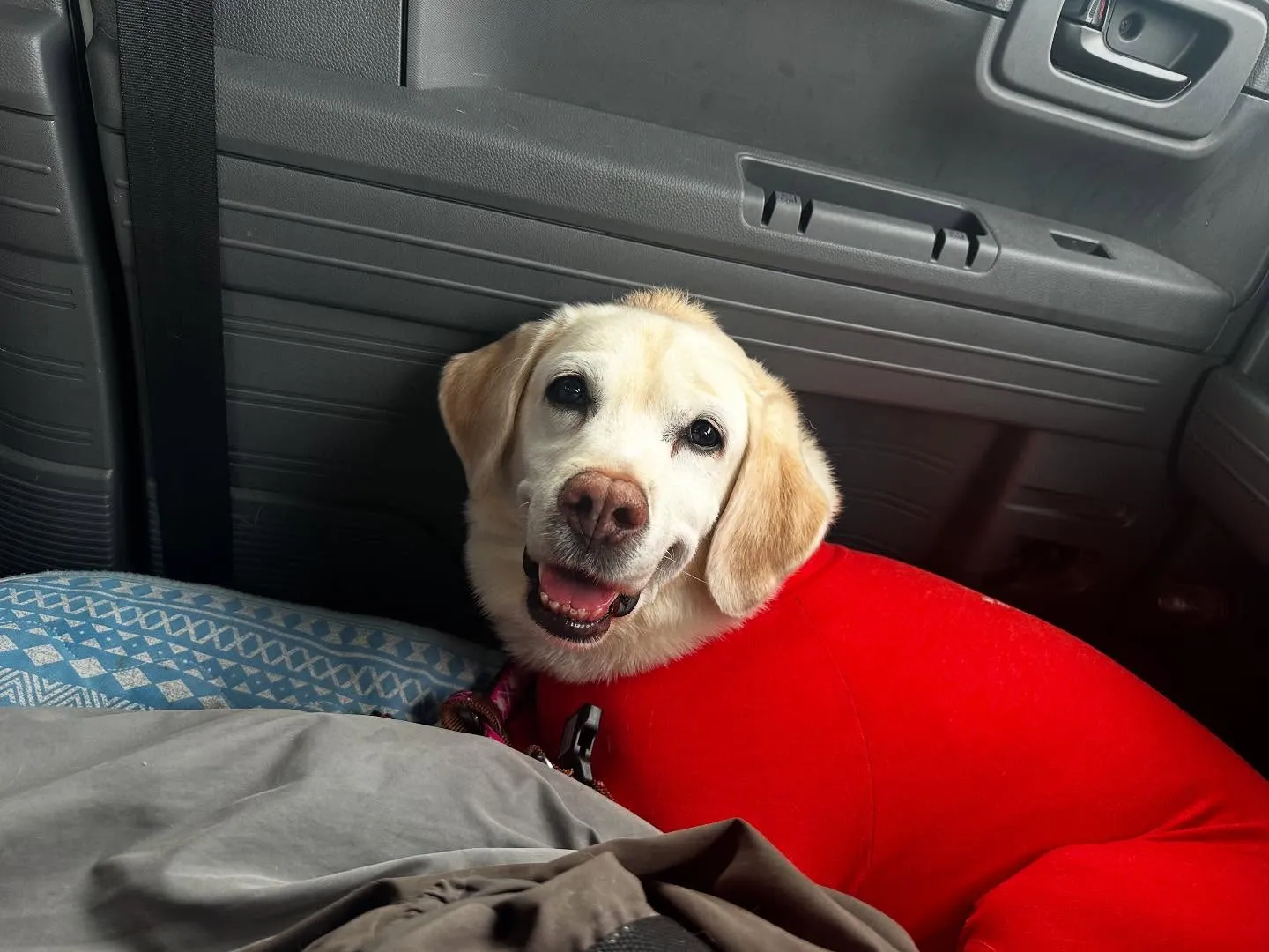 2025/5/25~26でなつと一緒に長野に旅行に行っており...