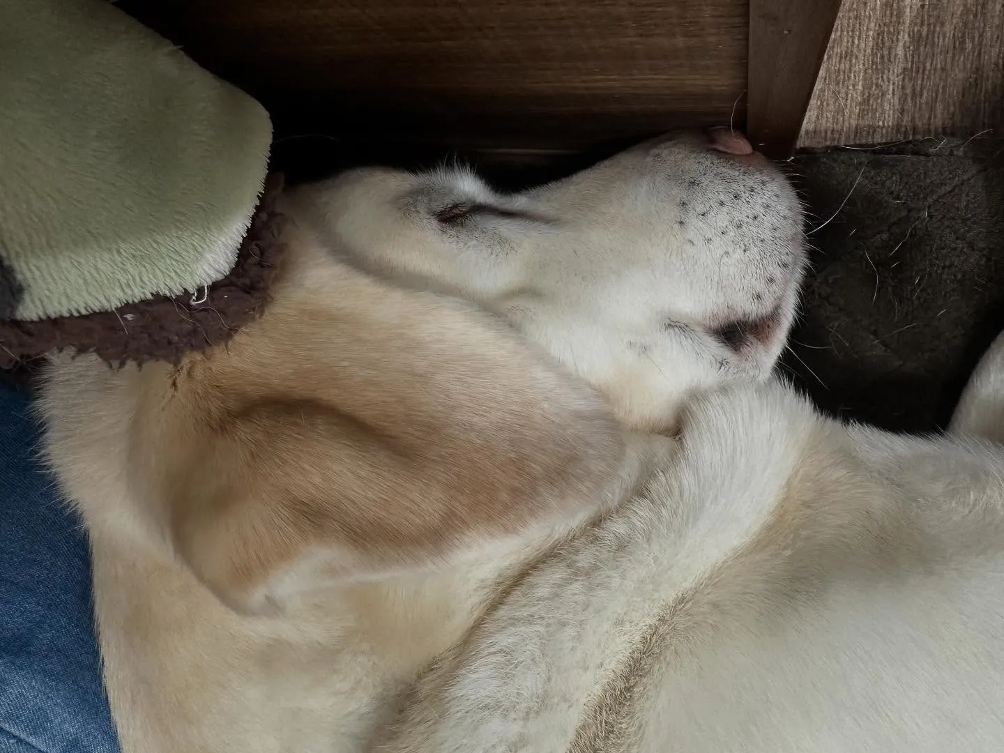 2025/5/25~26でなつと一緒に長野に旅行に行っており...