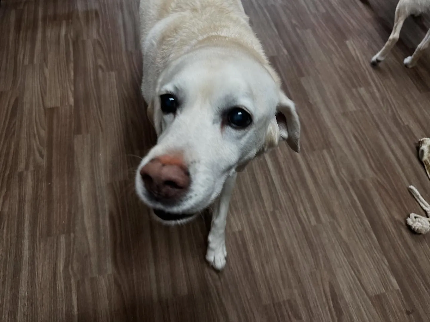 2025/5/25~26でなつと一緒に長野に旅行に行っており...