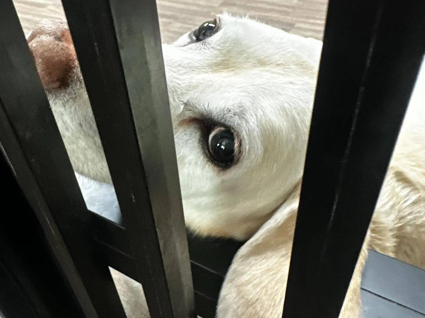 2025/5/25~26でなつと一緒に長野に旅行に行っており...