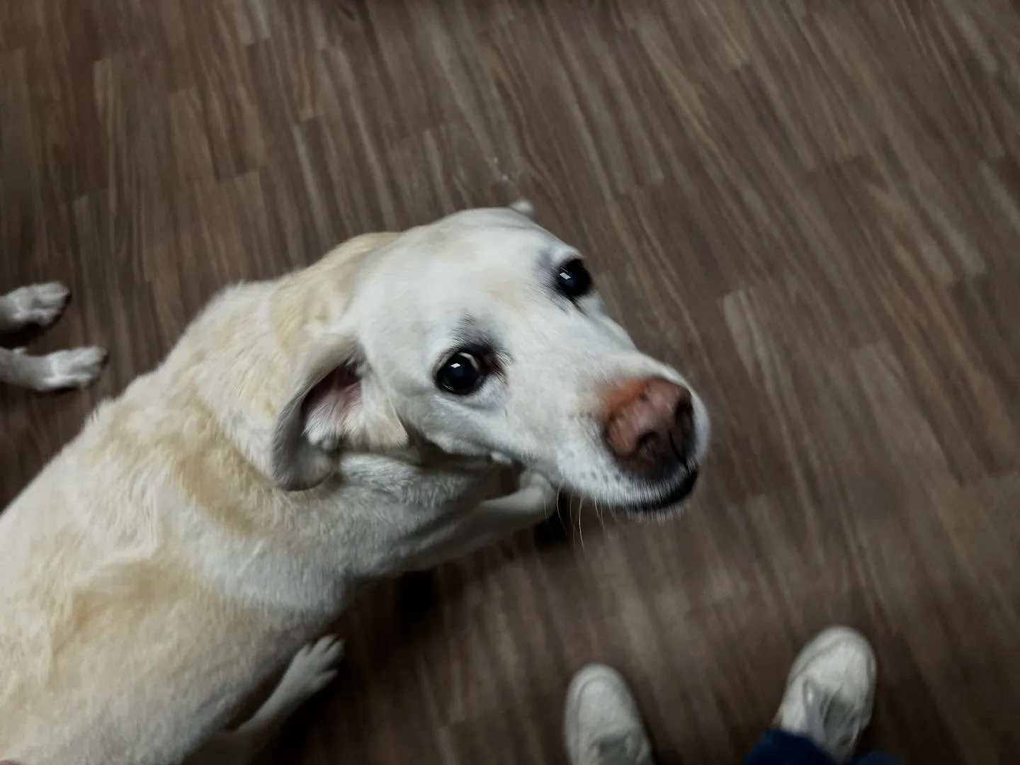 2025/5/25~26でなつと一緒に長野に旅行に行っており...