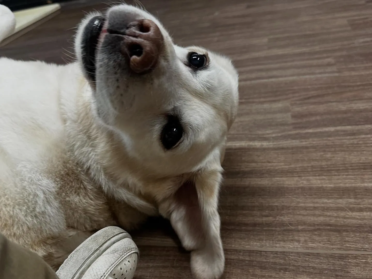 2025/5/25~26でなつと一緒に長野に旅行に行っており...