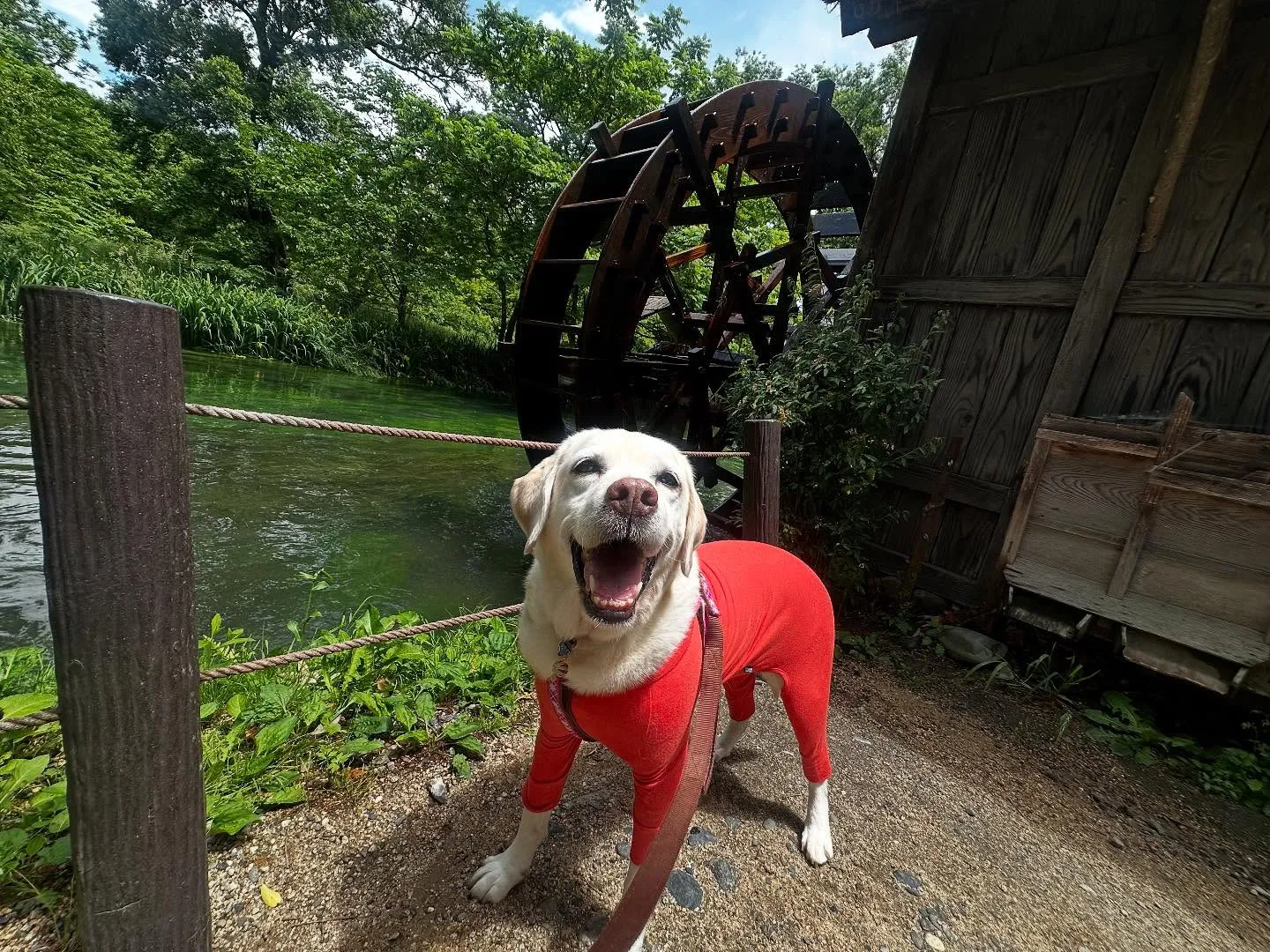 なつとの長野旅行レポその2【大王わさび農場】🐾
