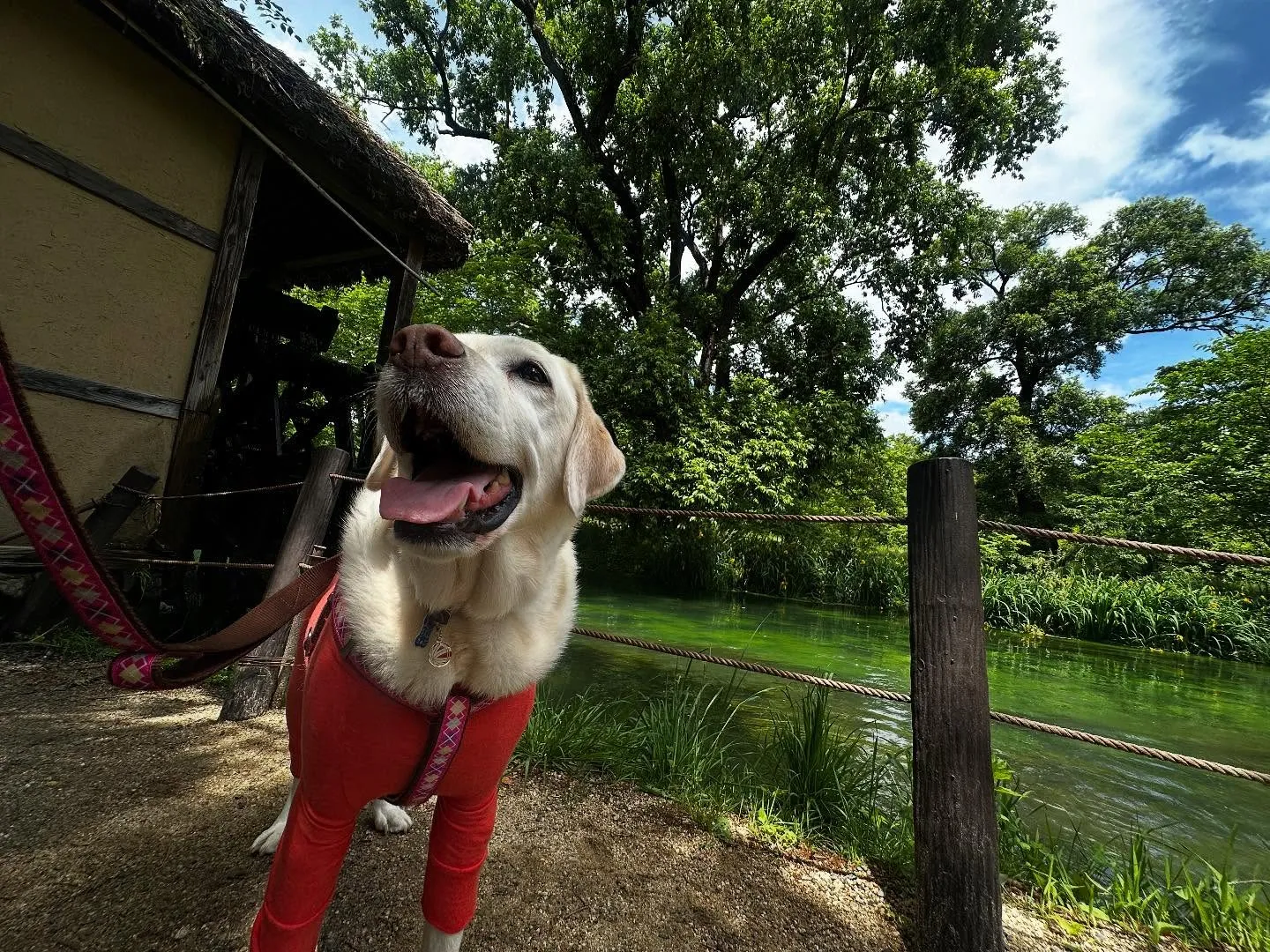 なつとの長野旅行レポその2【大王わさび農場】🐾