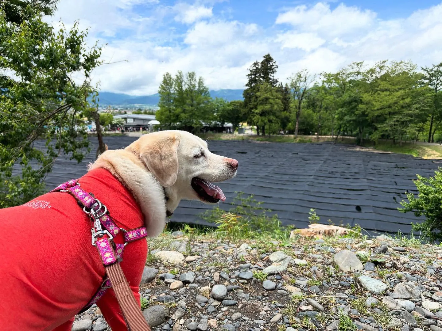 なつとの長野旅行レポその2【大王わさび農場】🐾