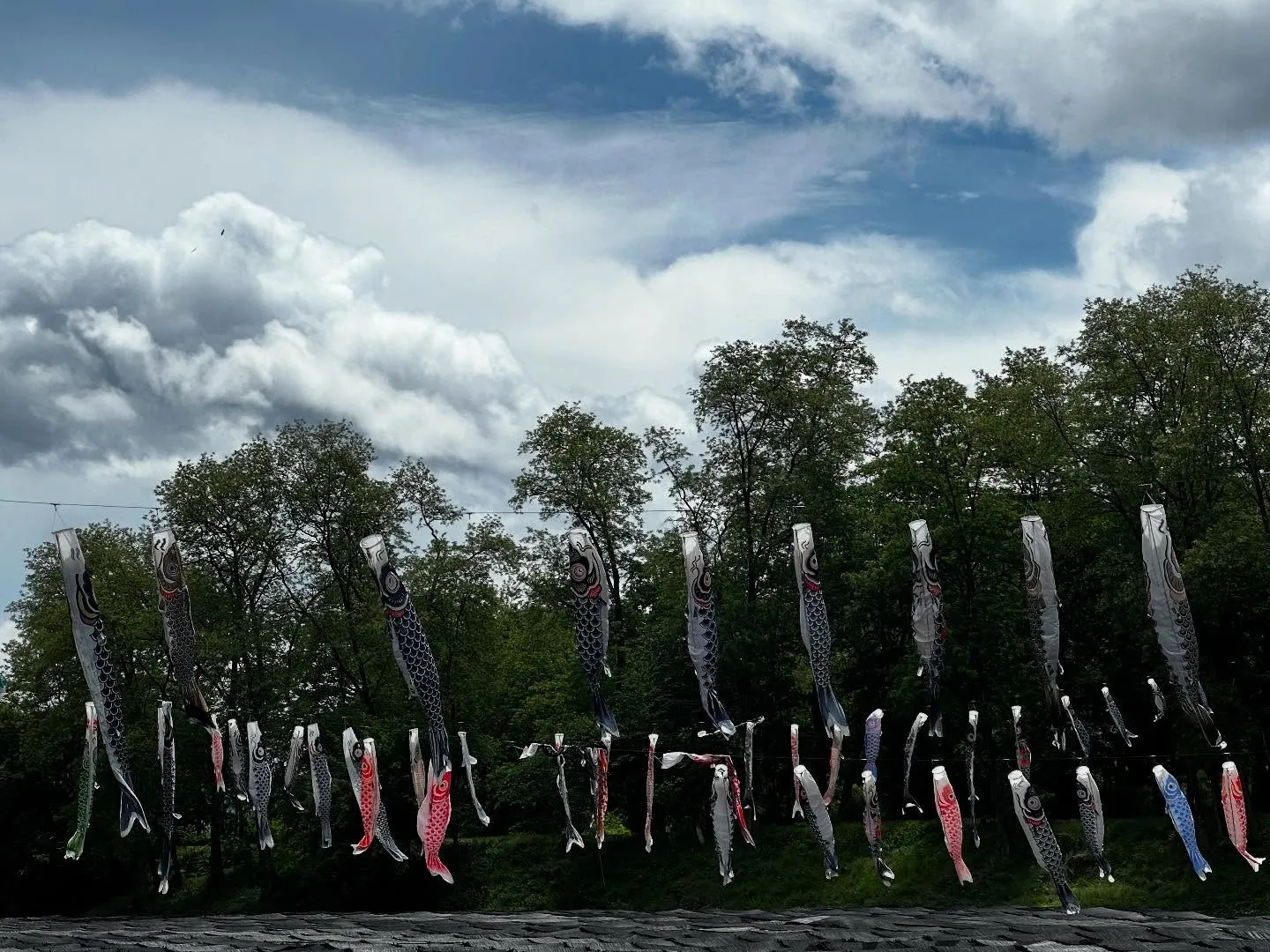 なつとの長野旅行レポその2【大王わさび農場】🐾