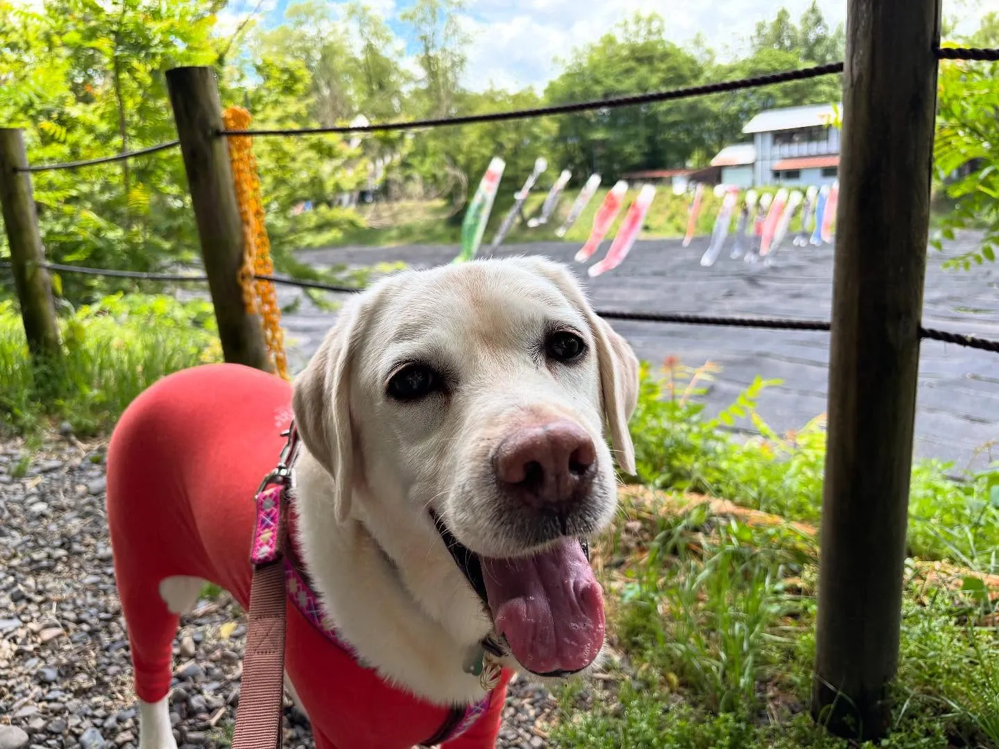なつとの長野旅行レポその2【大王わさび農場】🐾