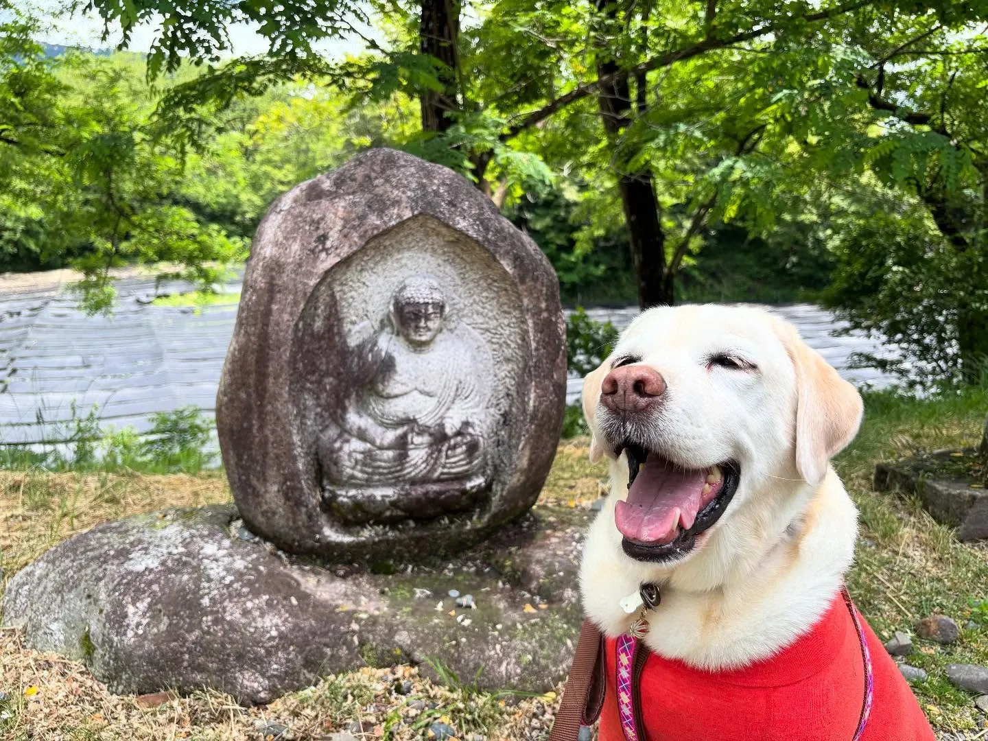 なつとの長野旅行レポその2【大王わさび農場】🐾