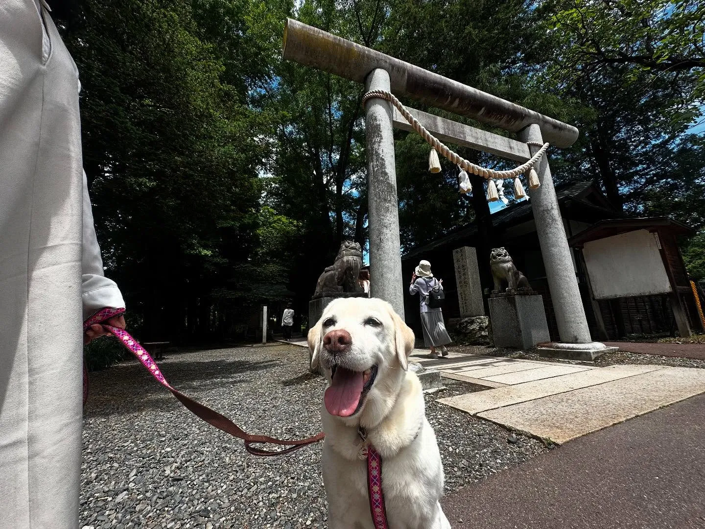 なつとの長野旅行レポその2【大王わさび農場】🐾