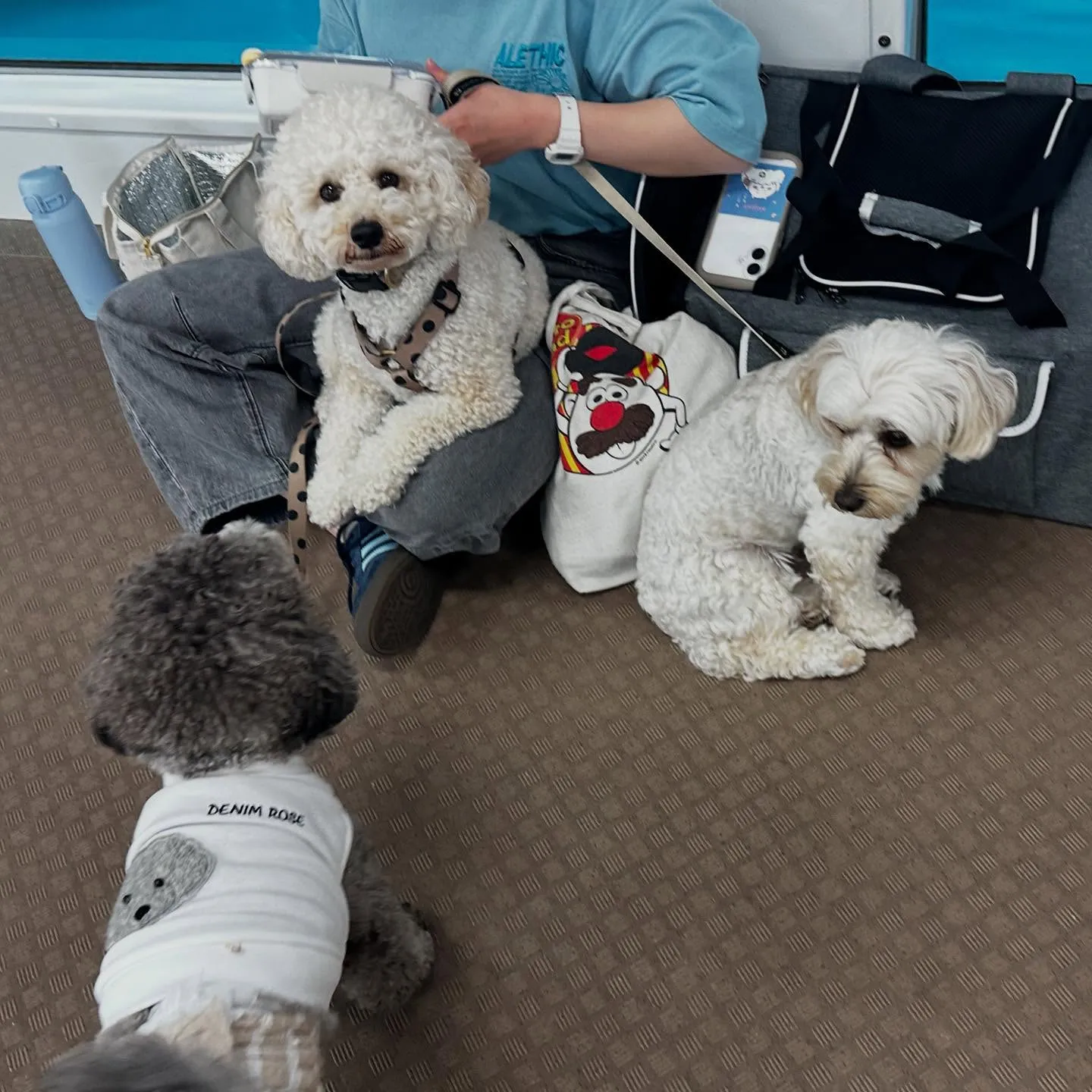 昨日は専門学校dayでした🏫