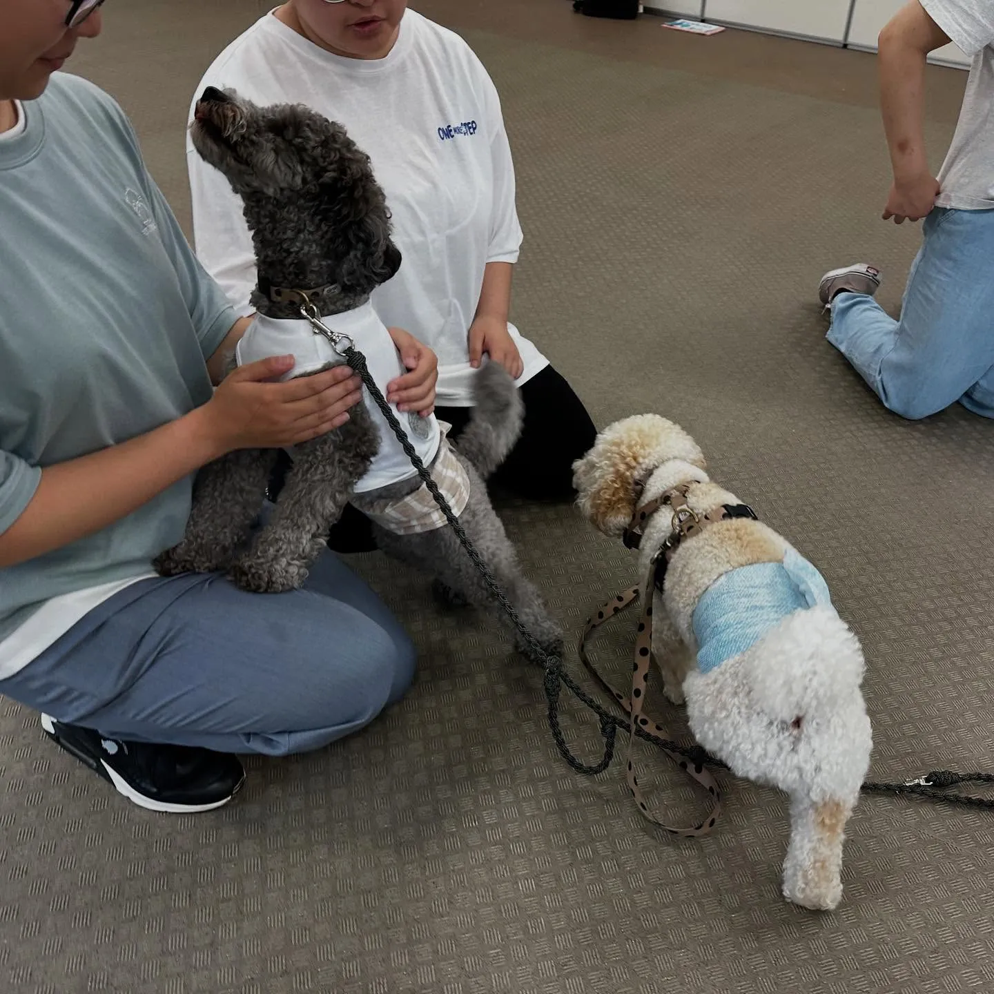 昨日は専門学校dayでした🏫