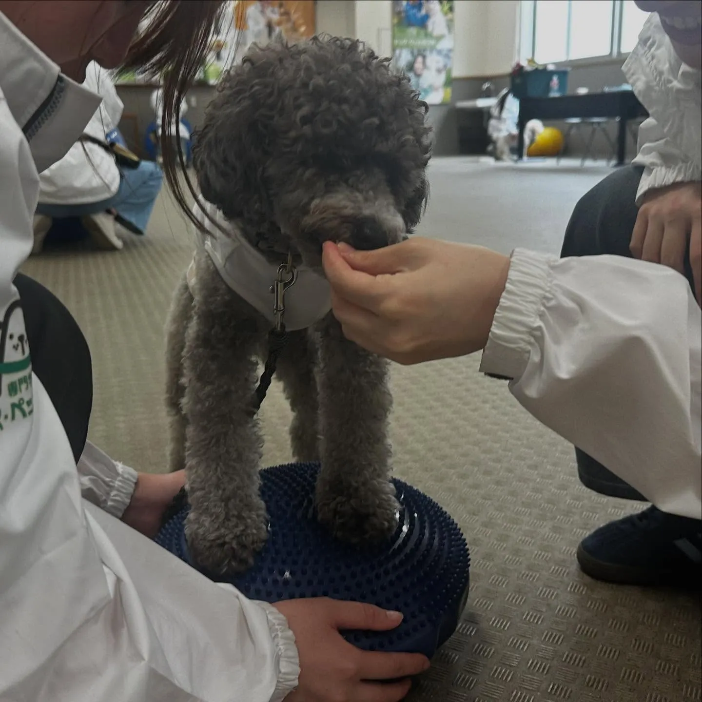 昨日は専門学校dayでした🏫