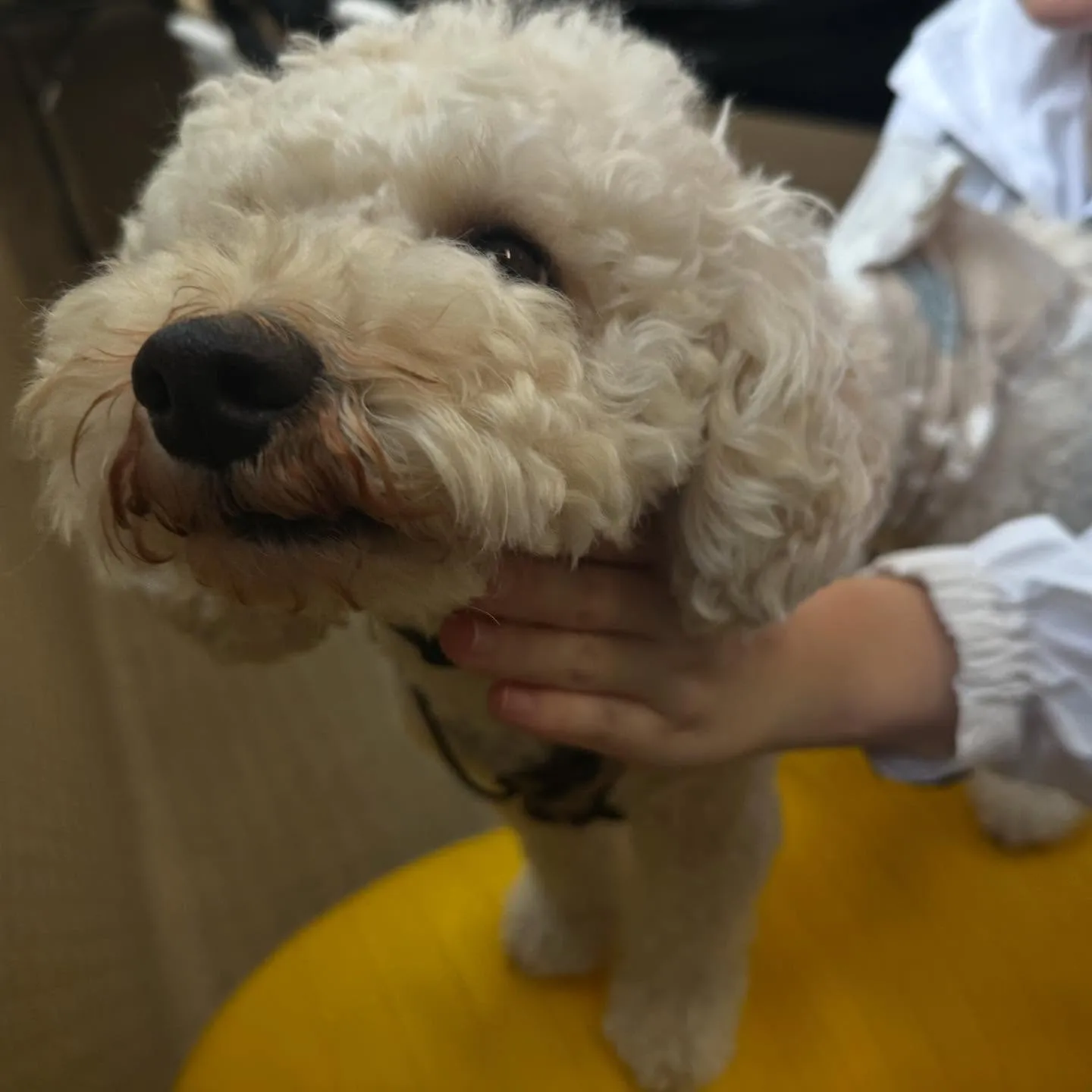 昨日は専門学校dayでした🏫