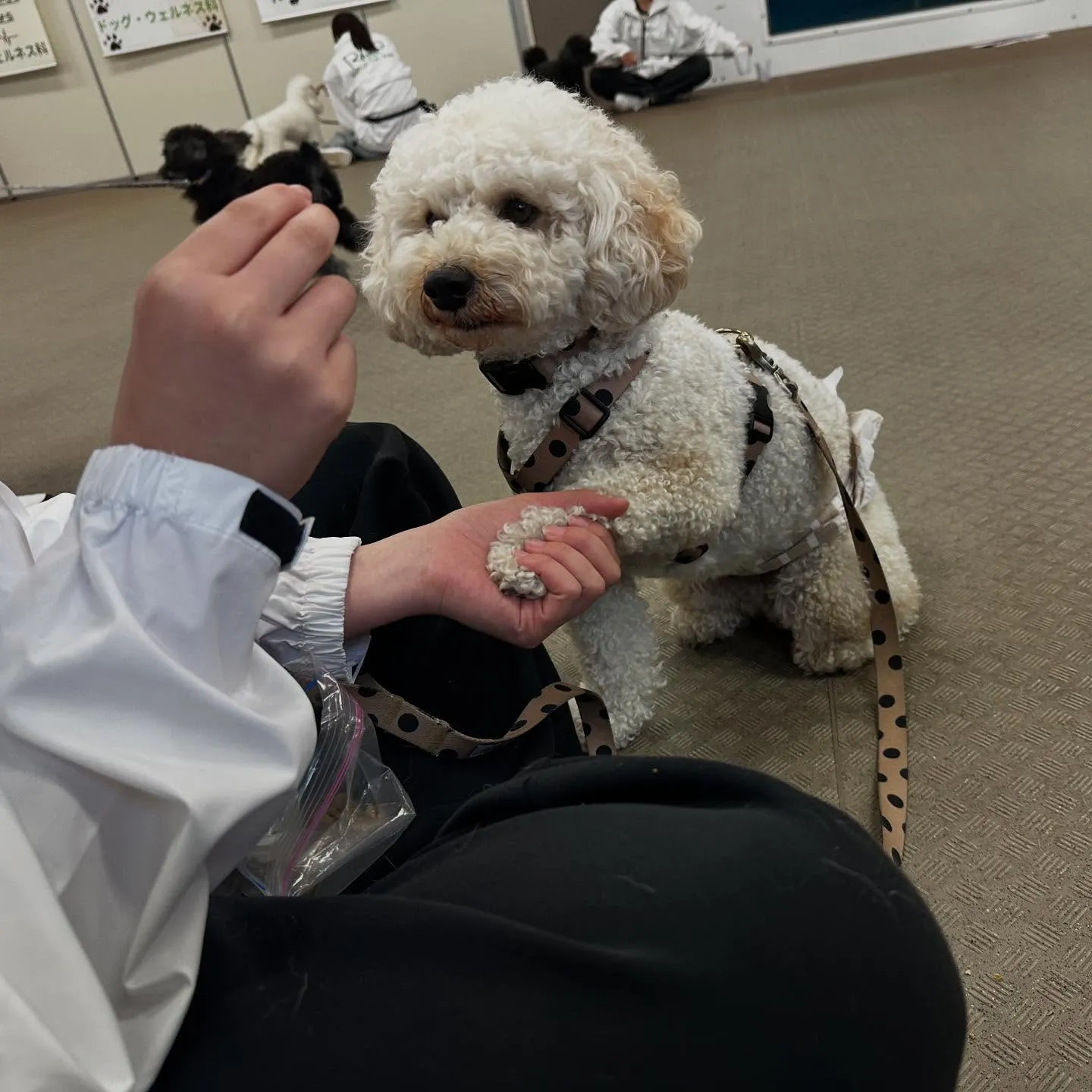 昨日は専門学校dayでした🏫