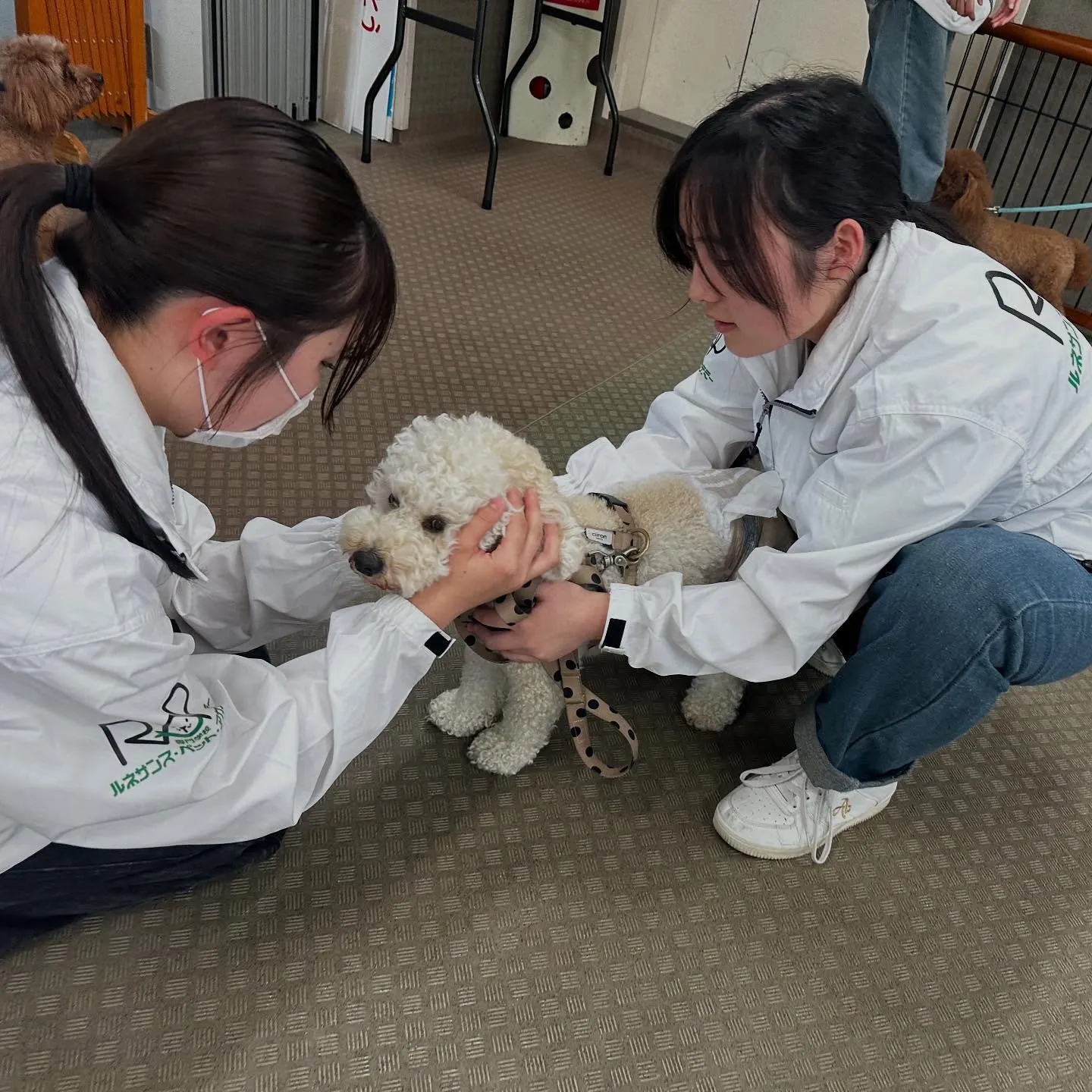 昨日は専門学校dayでした🏫