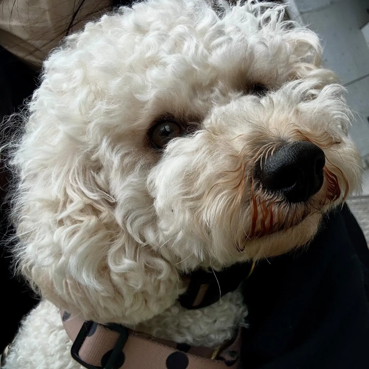 昨日は専門学校dayでした🏫