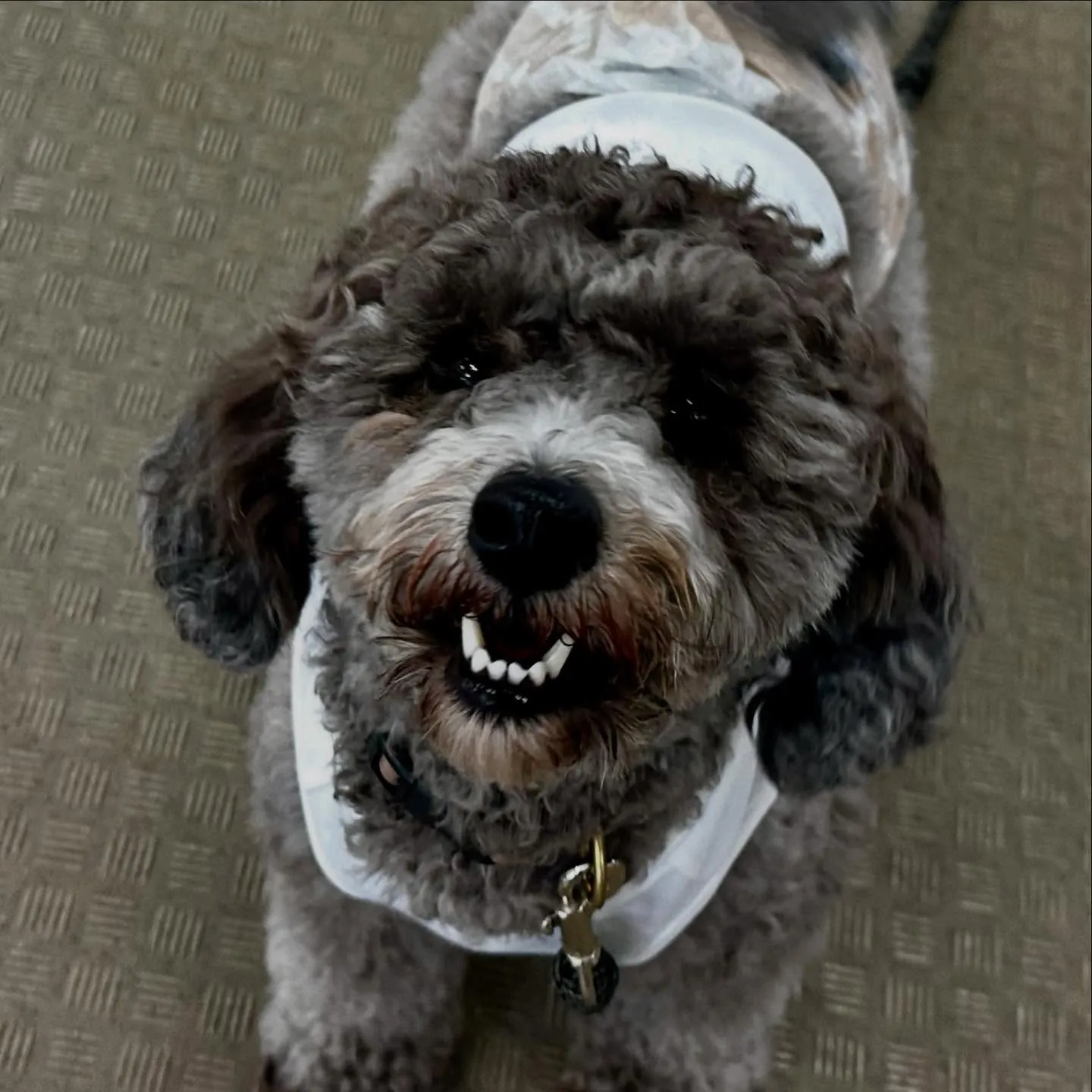 昨日は専門学校dayでした🏫