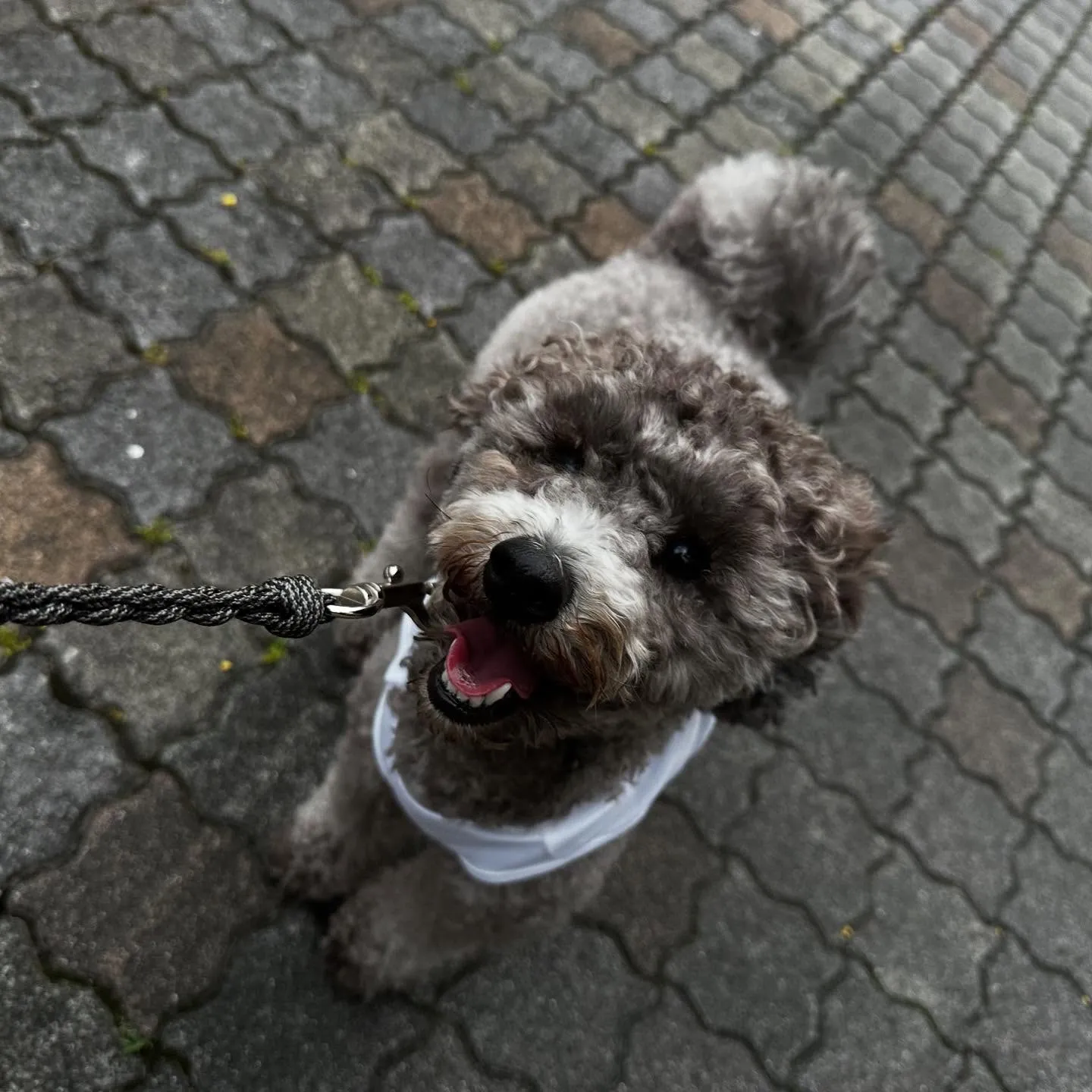 昨日は専門学校dayでした🏫