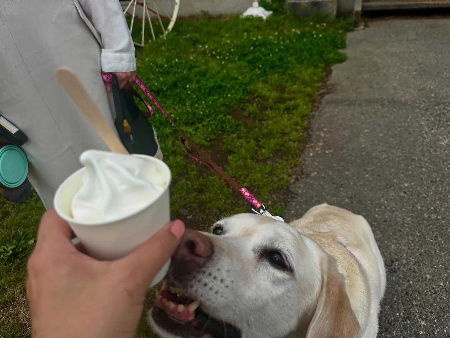 長野旅行した時のレポその3です🐾
