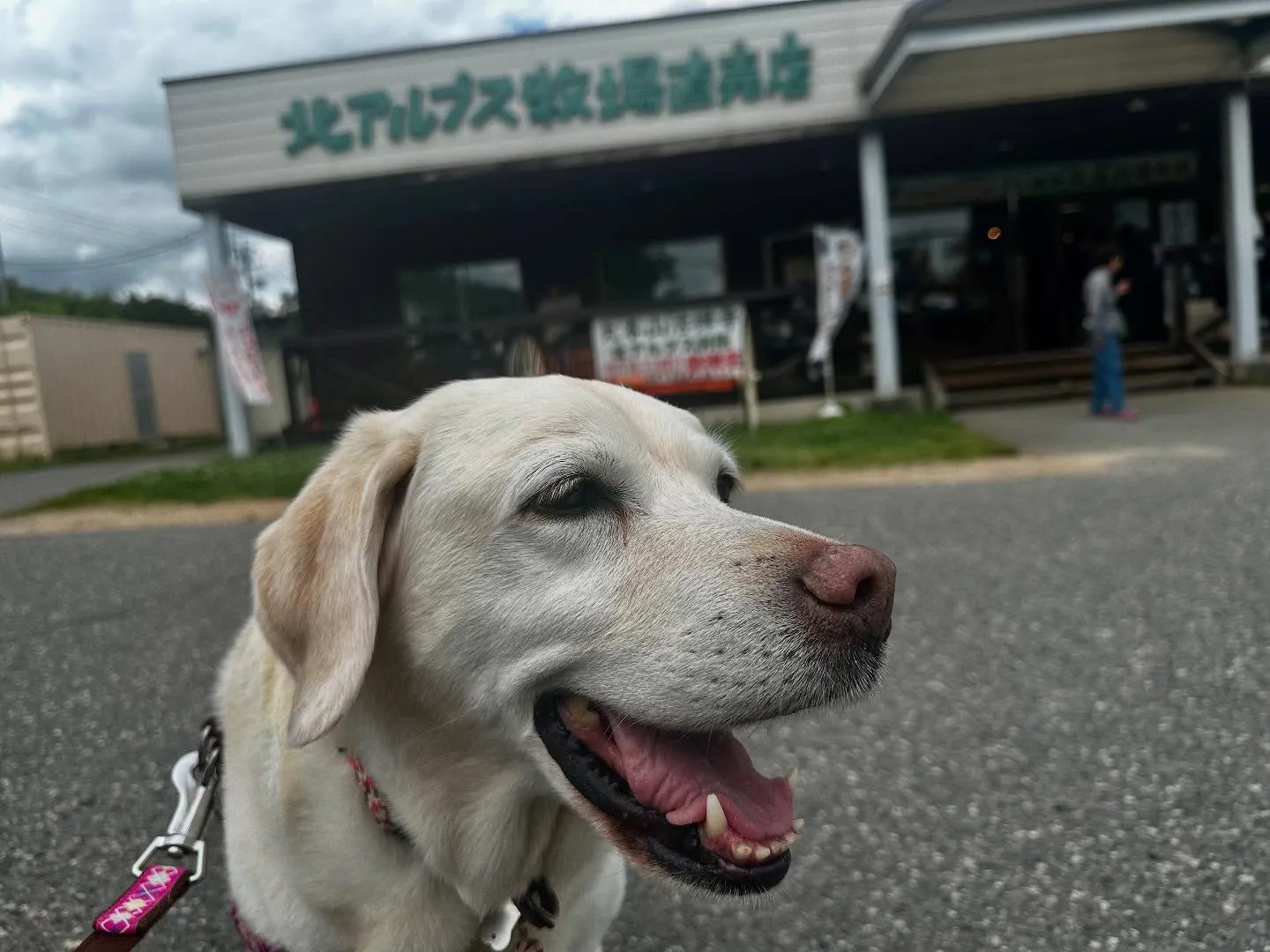 長野旅行した時のレポその3です🐾