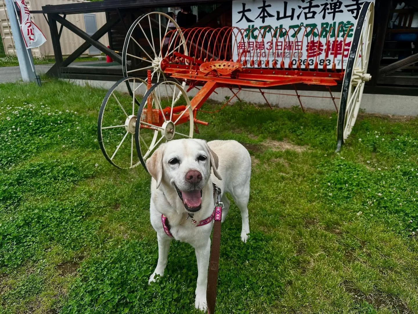 長野旅行した時のレポその3です🐾