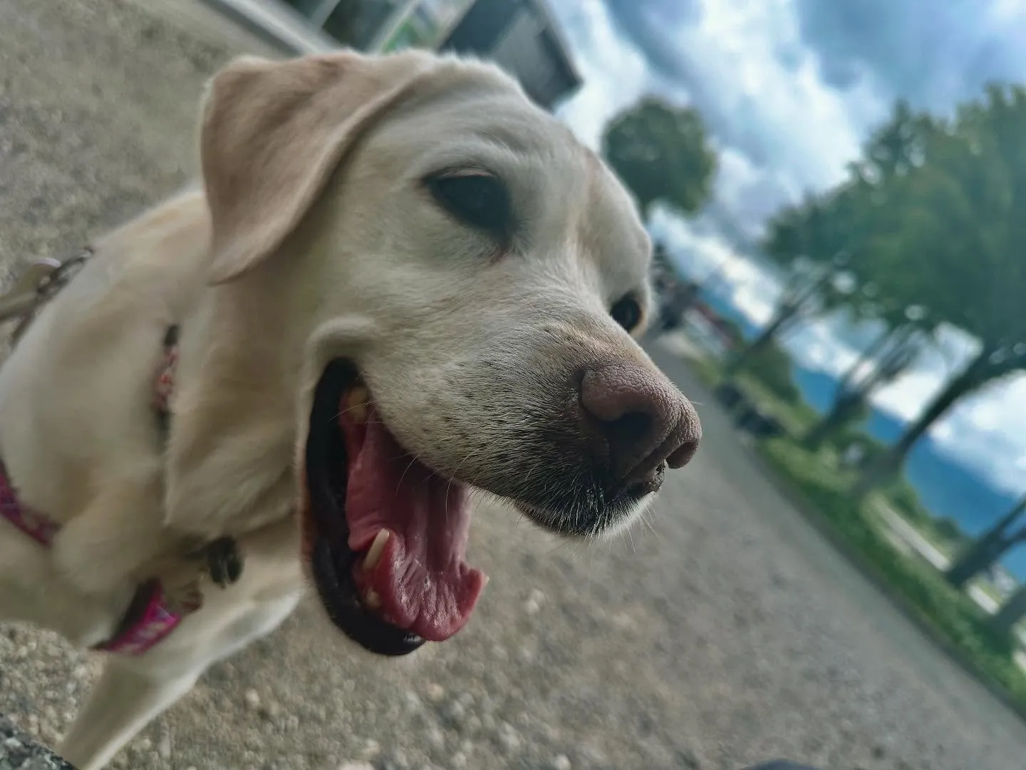 長野旅行した時のレポその3です🐾