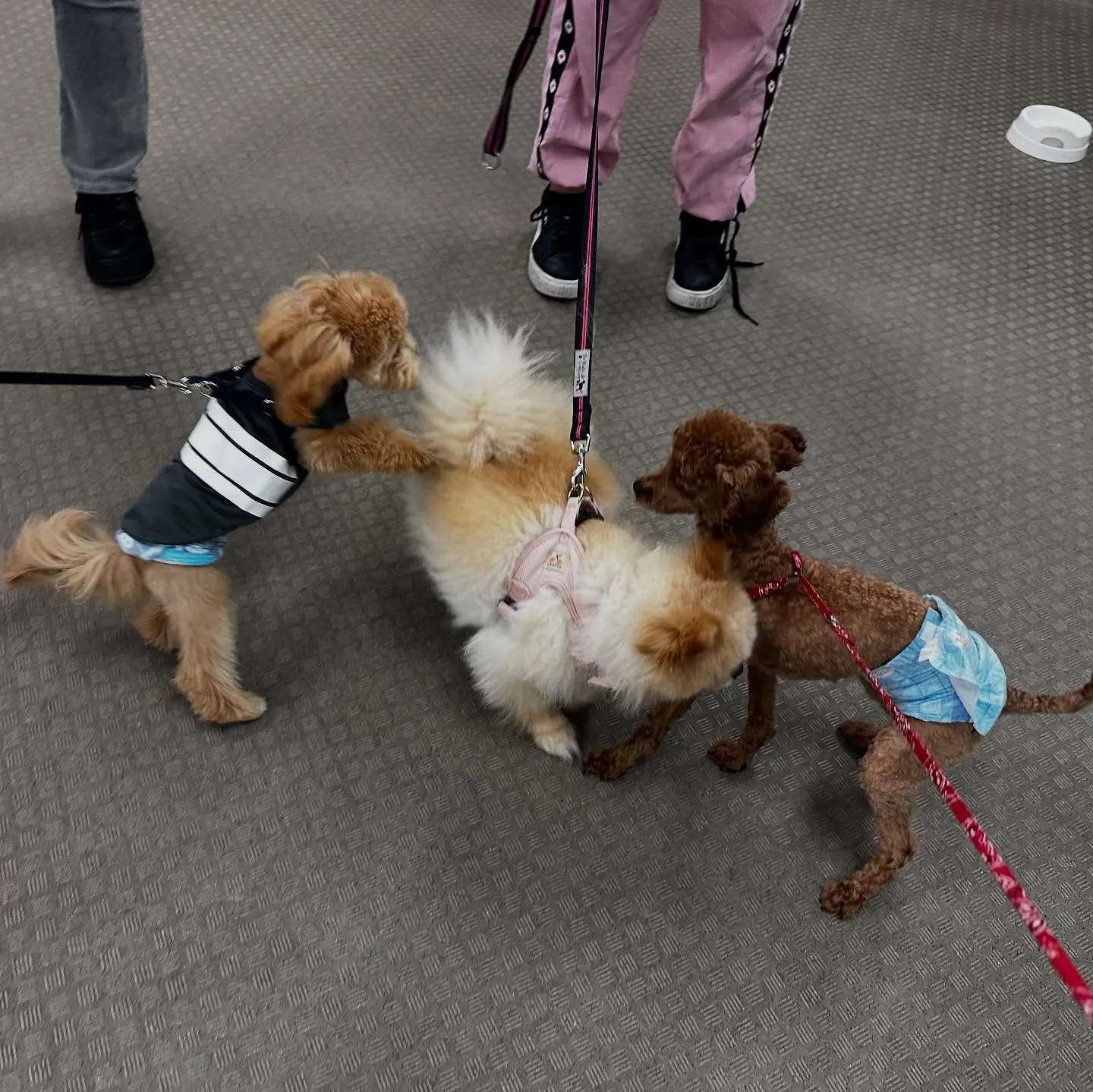 今日は専門学校dayでした🏫