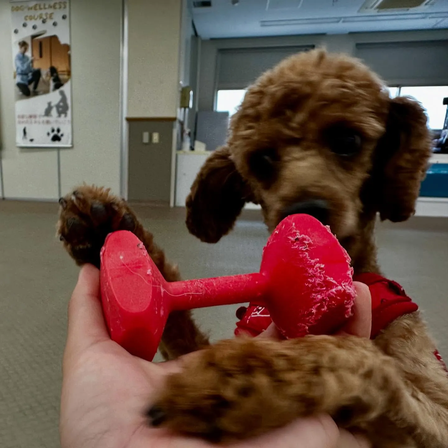 今日は専門学校dayでした🏫