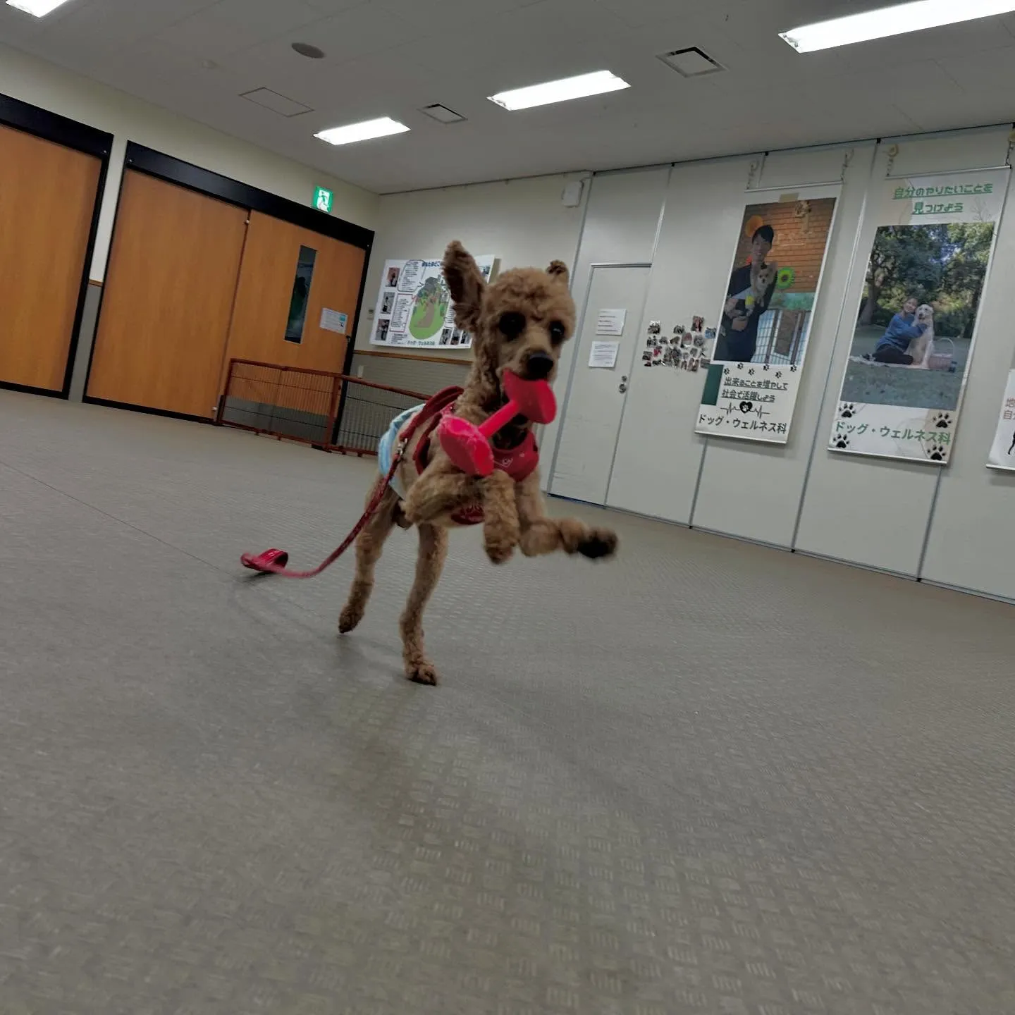 今日は専門学校dayでした🏫