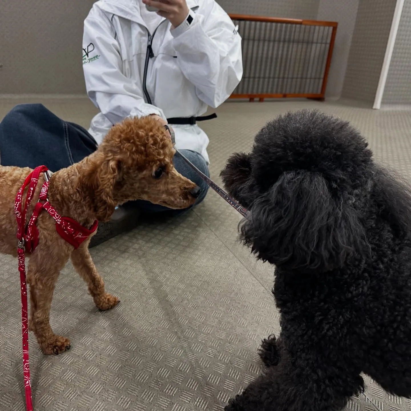 今日は専門学校dayでした🏫