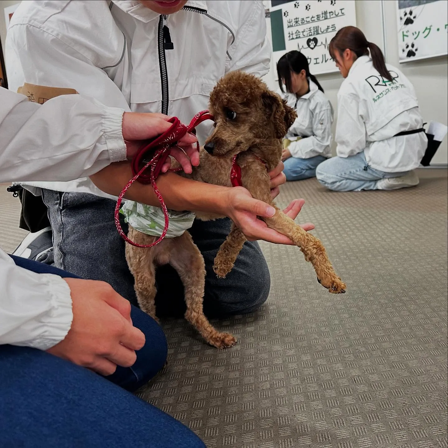 今日は専門学校dayでした🏫
