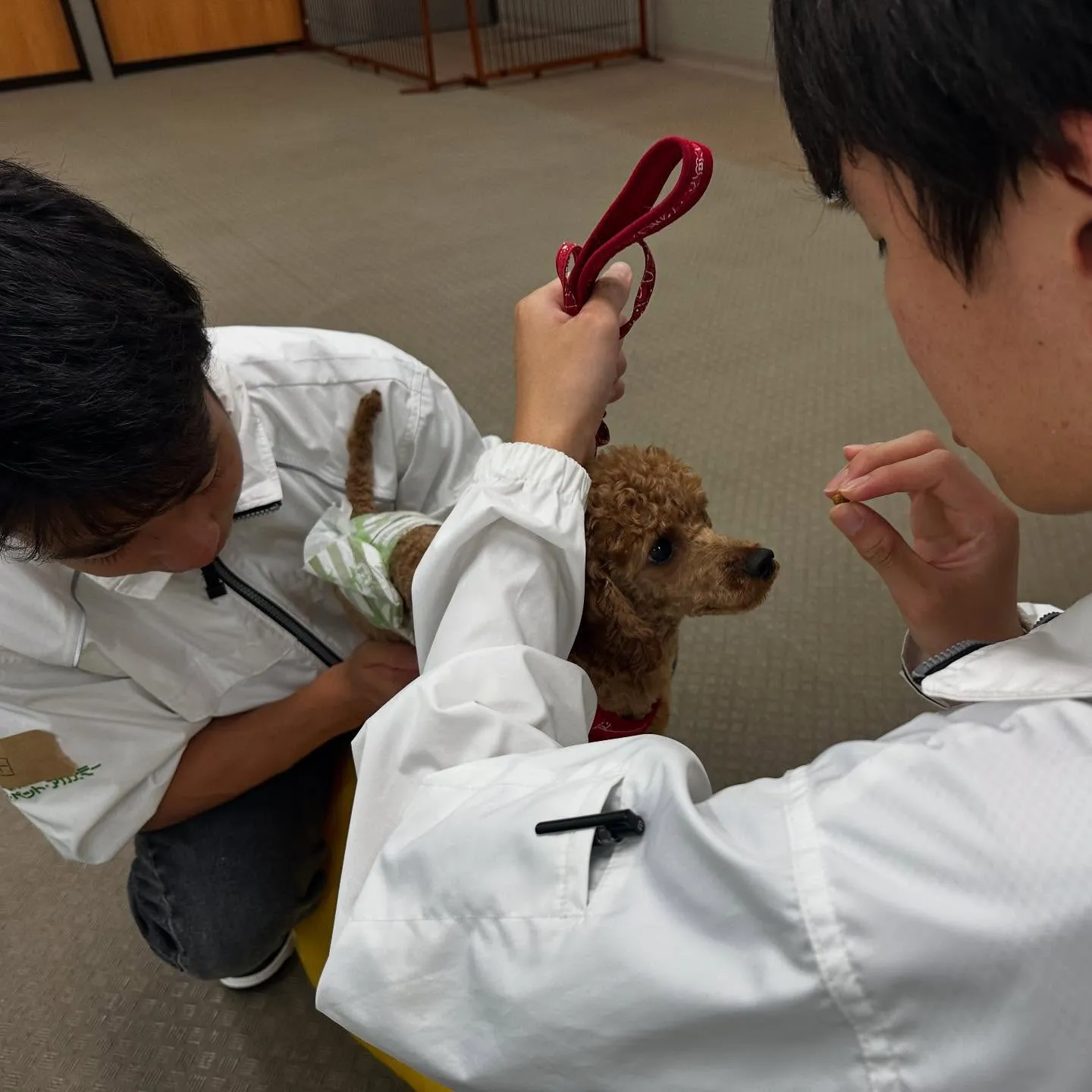 今日は専門学校dayでした🏫