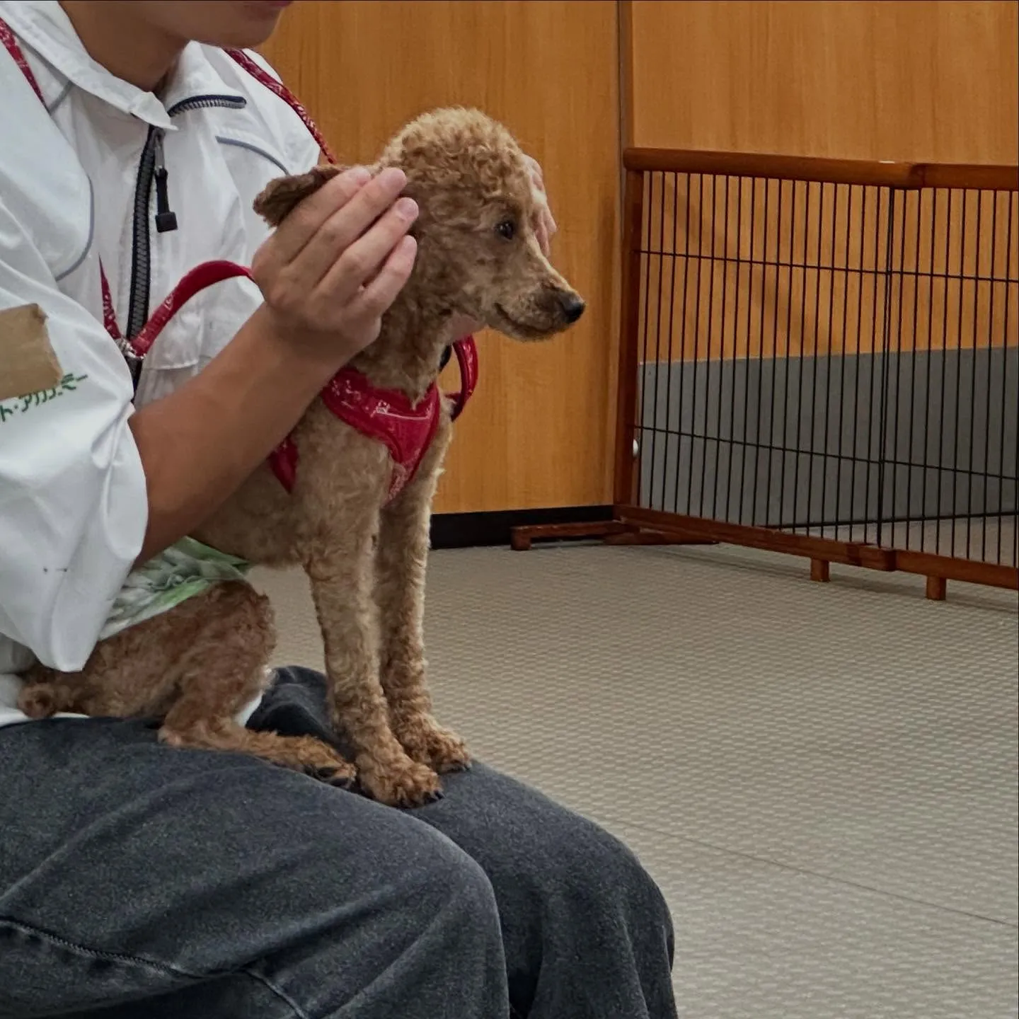 今日は専門学校dayでした🏫