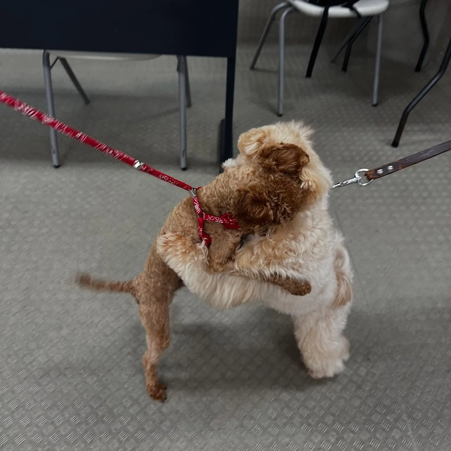今日は専門学校dayでした🏫