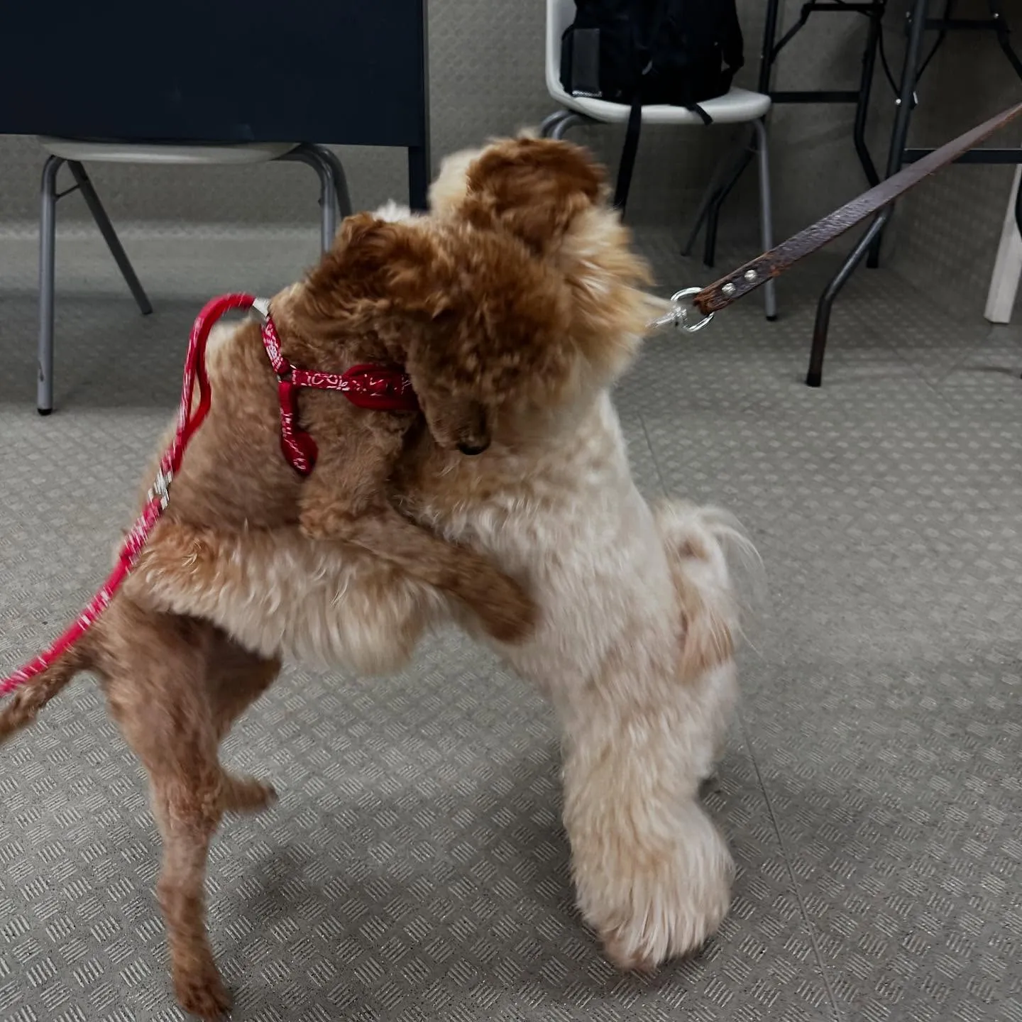 今日は専門学校dayでした🏫