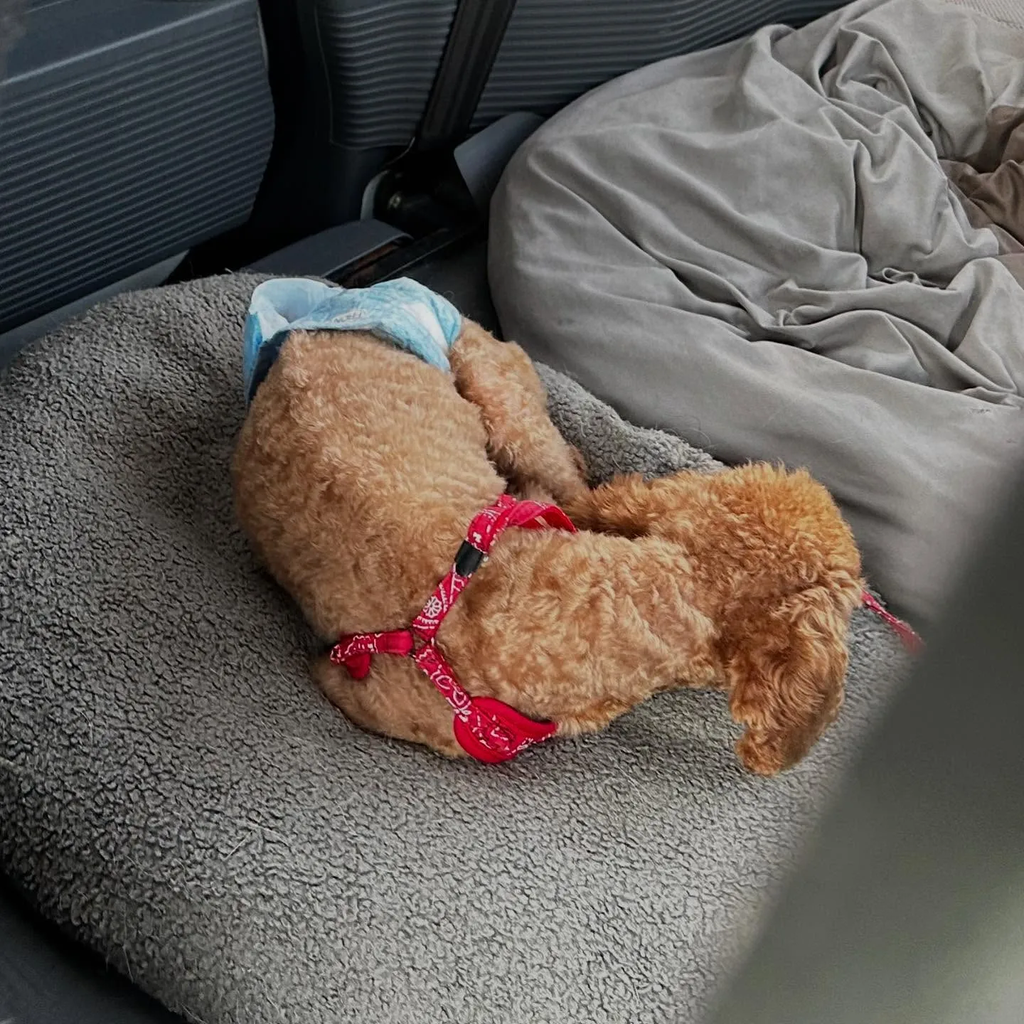 今日は専門学校dayでした🏫