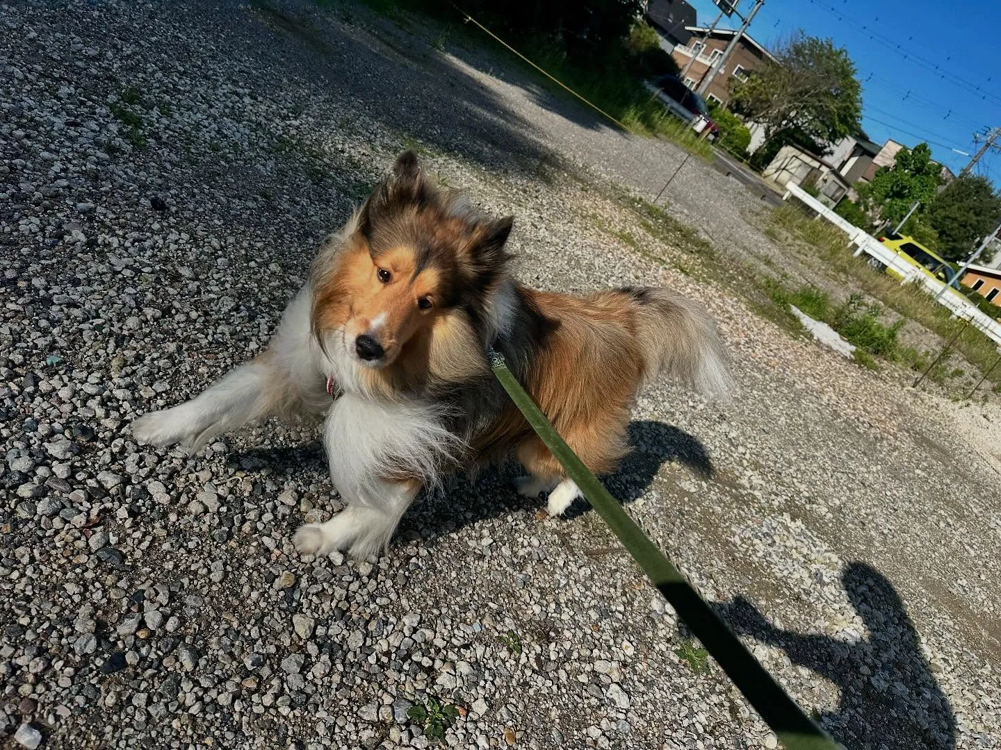 平素より当園をご利用頂きまして誠にありがとうございます🐾