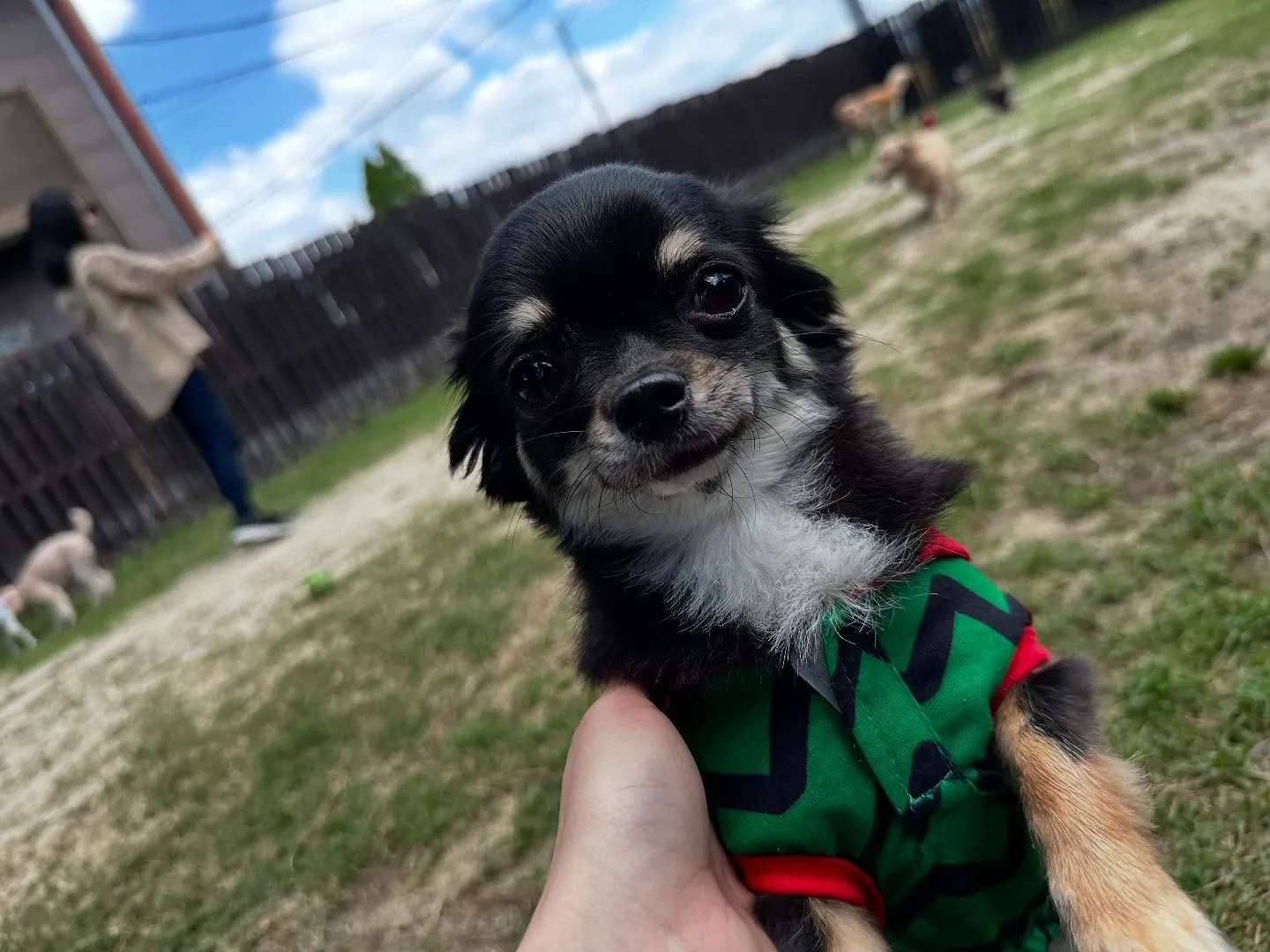 平素より当園をご利用頂きまして誠にありがとうございます🐾