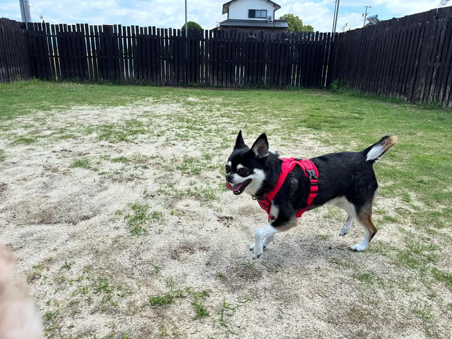平素より当園をご利用頂きまして誠にありがとうございます🐾
