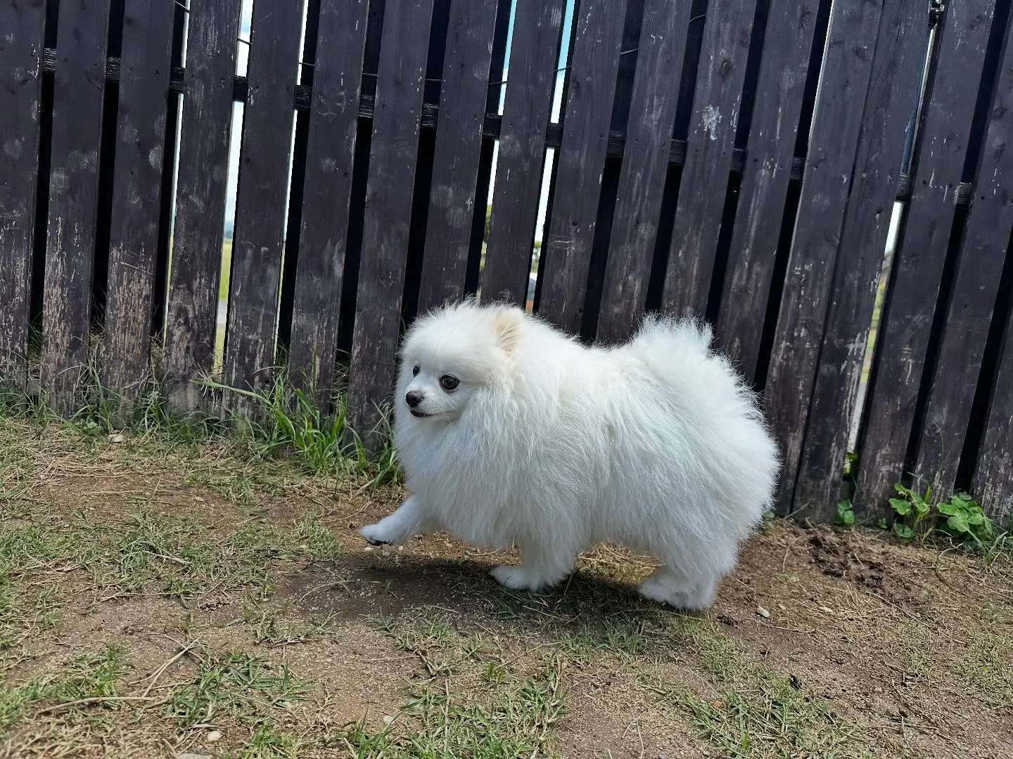 平素より当園をご利用頂きまして誠にありがとうございます🐾