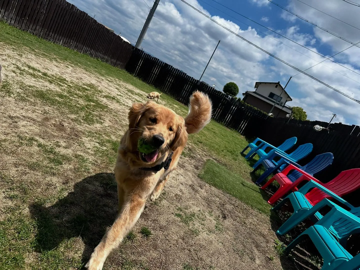 平素より当園をご利用頂きまして誠にありがとうございます🐾